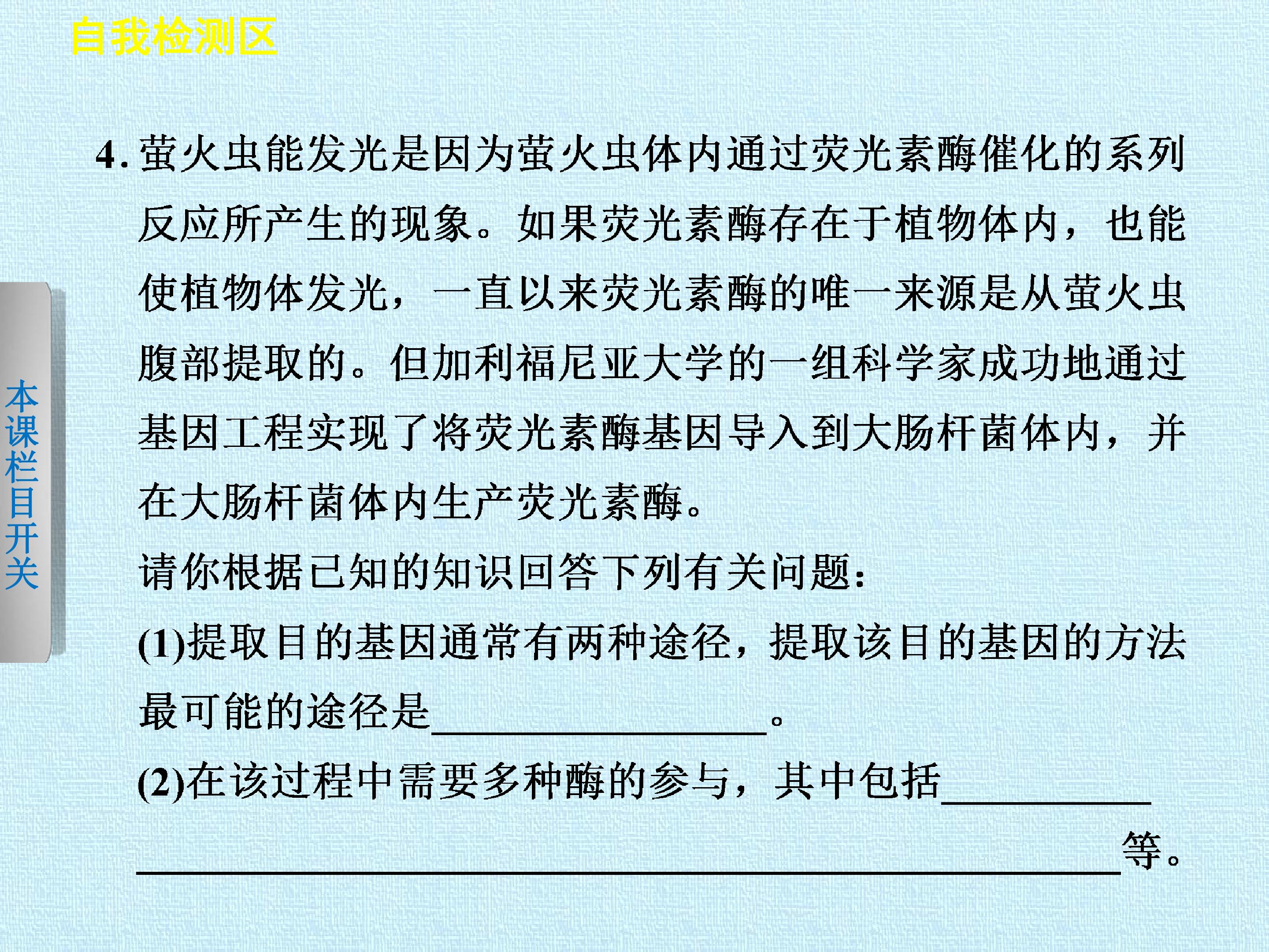 95.jpg