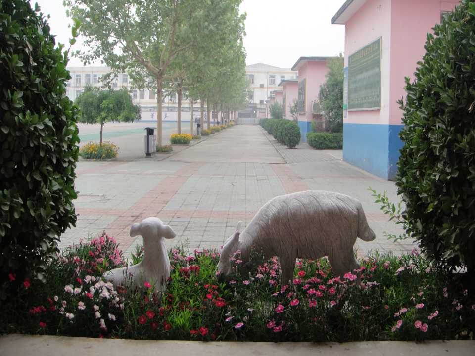 2.jpg