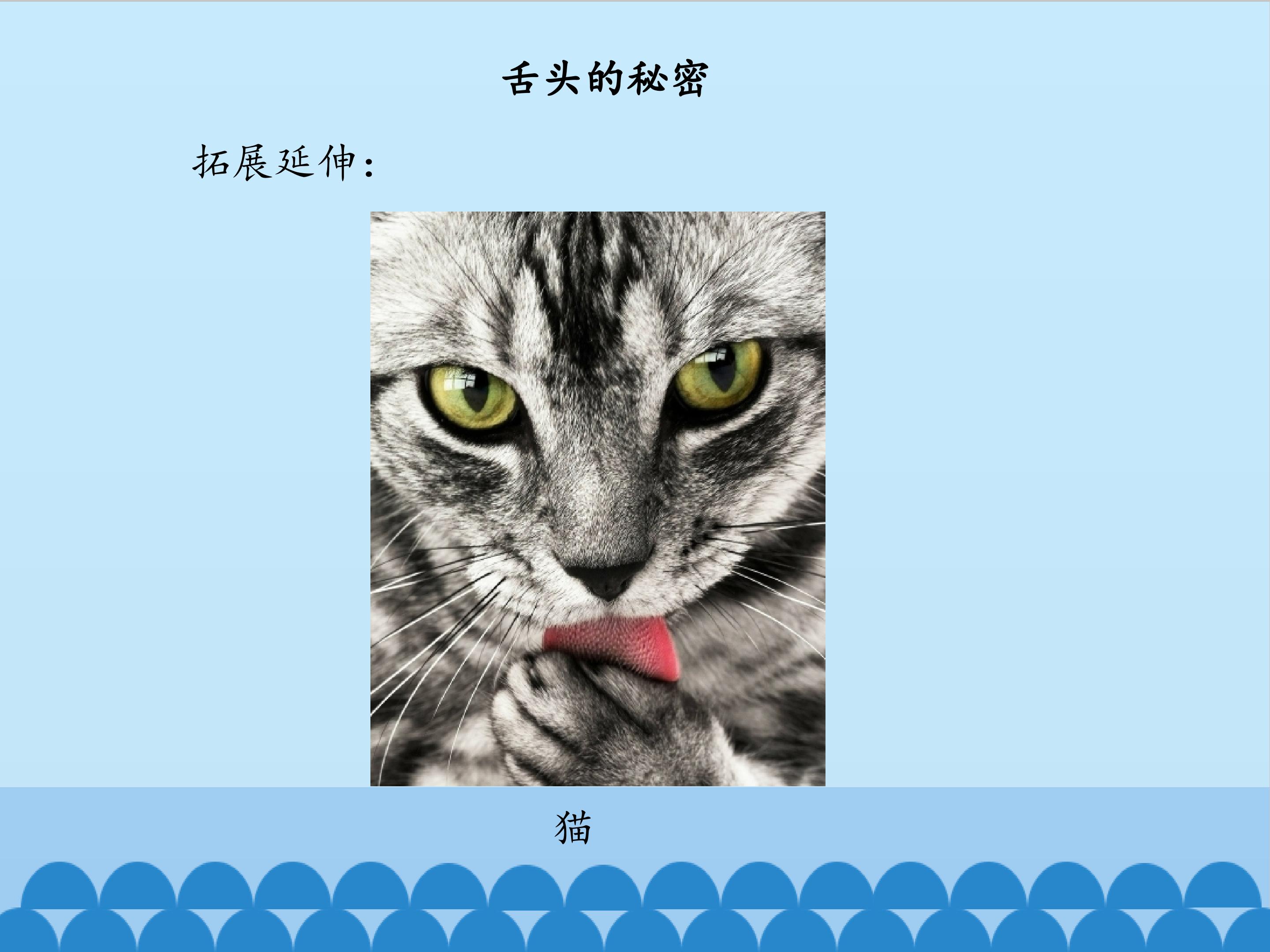 14.jpg