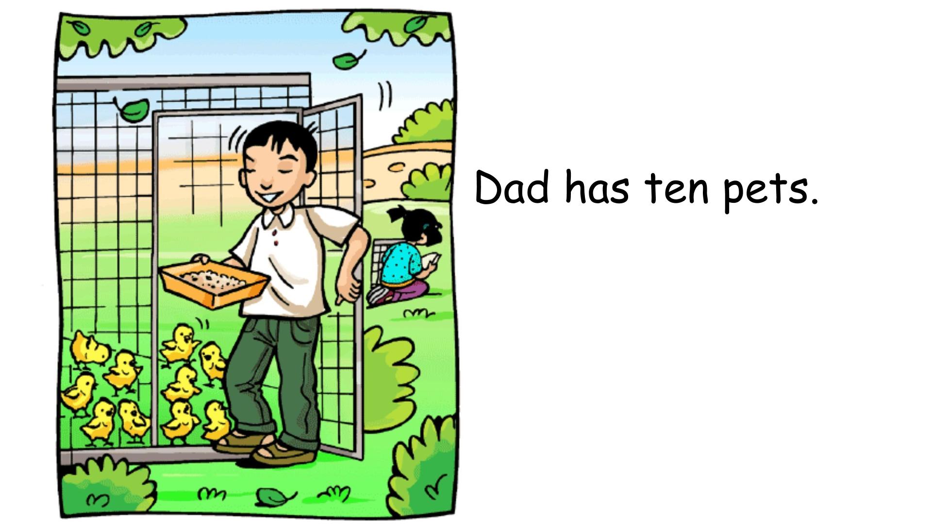 40.jpg