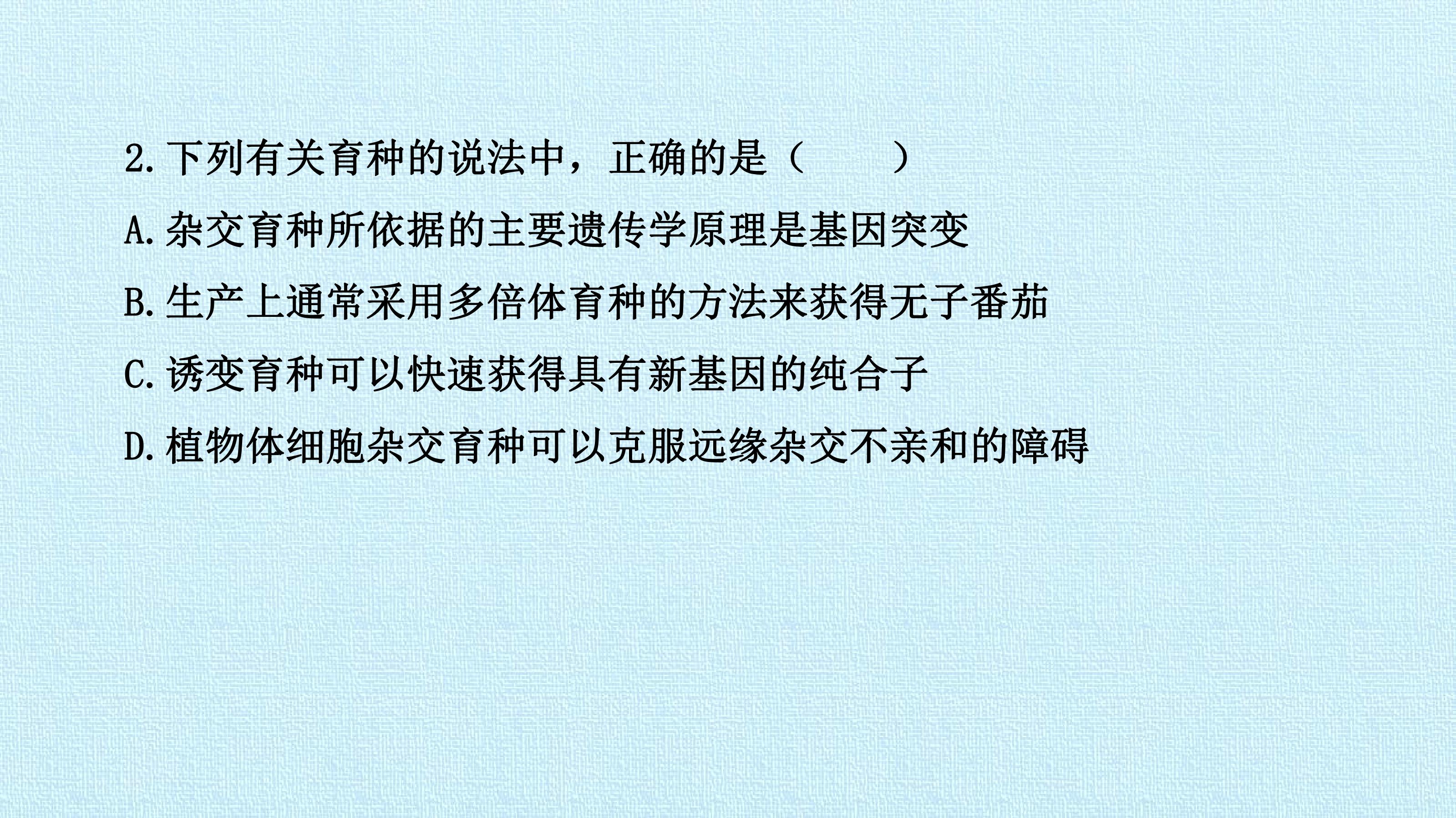 46.jpg