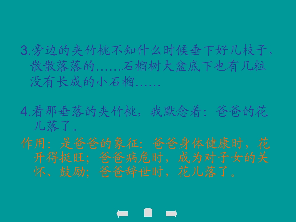 55.jpg