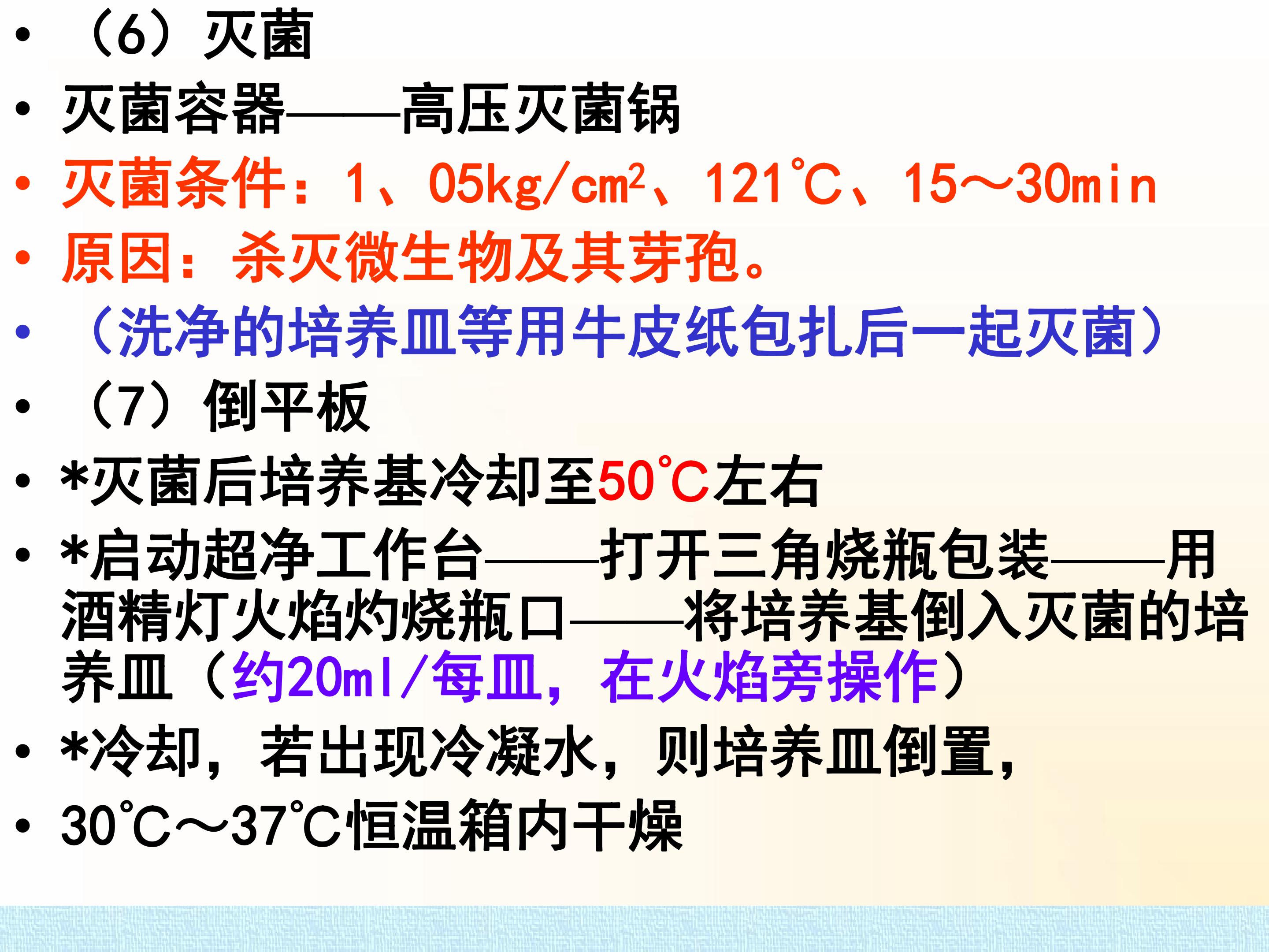 65.jpg