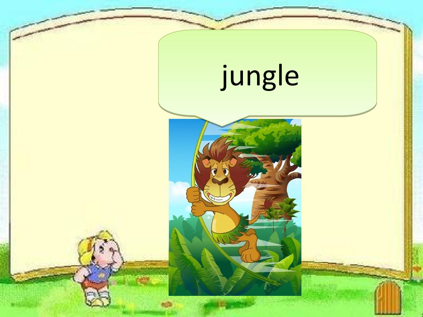5.jpg