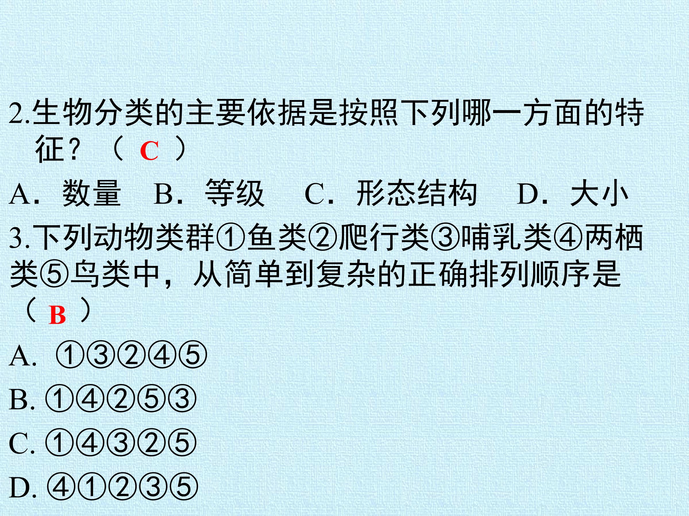 42.jpg