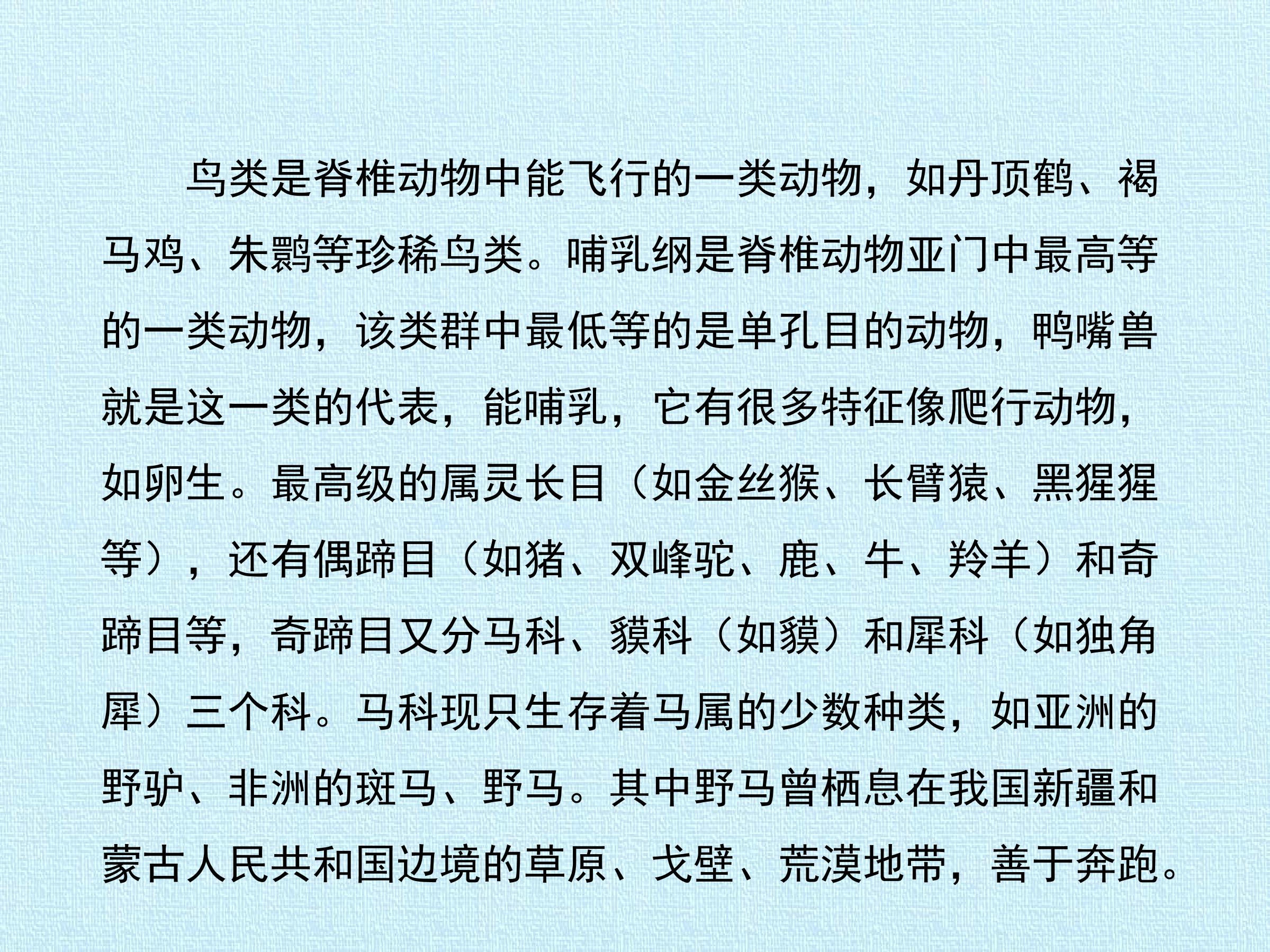 46.jpg