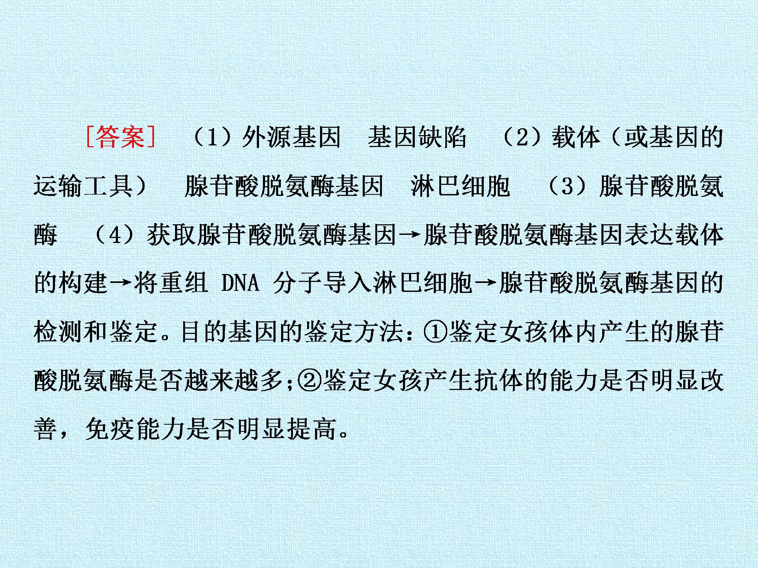 102.jpg