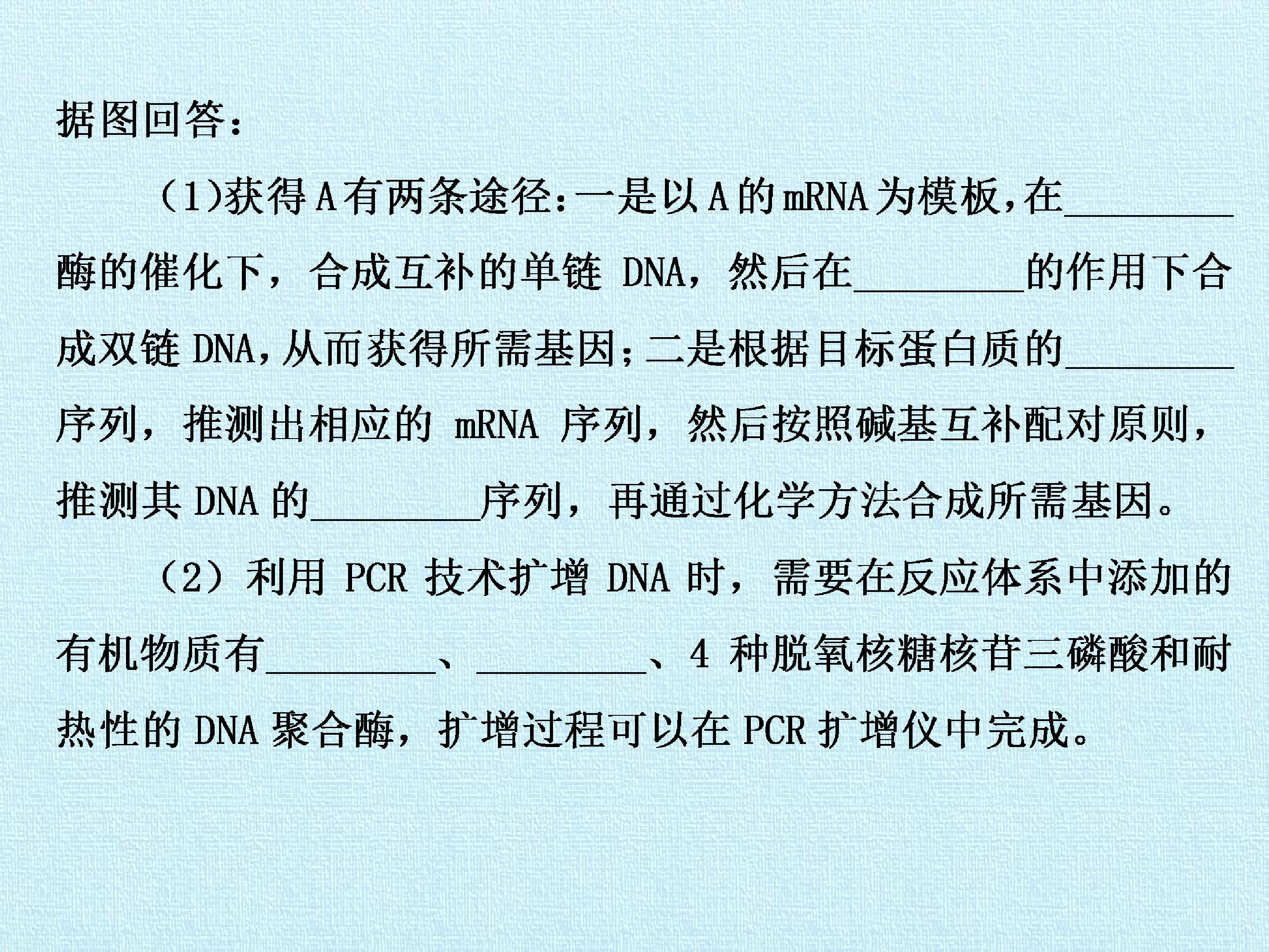 112.jpg