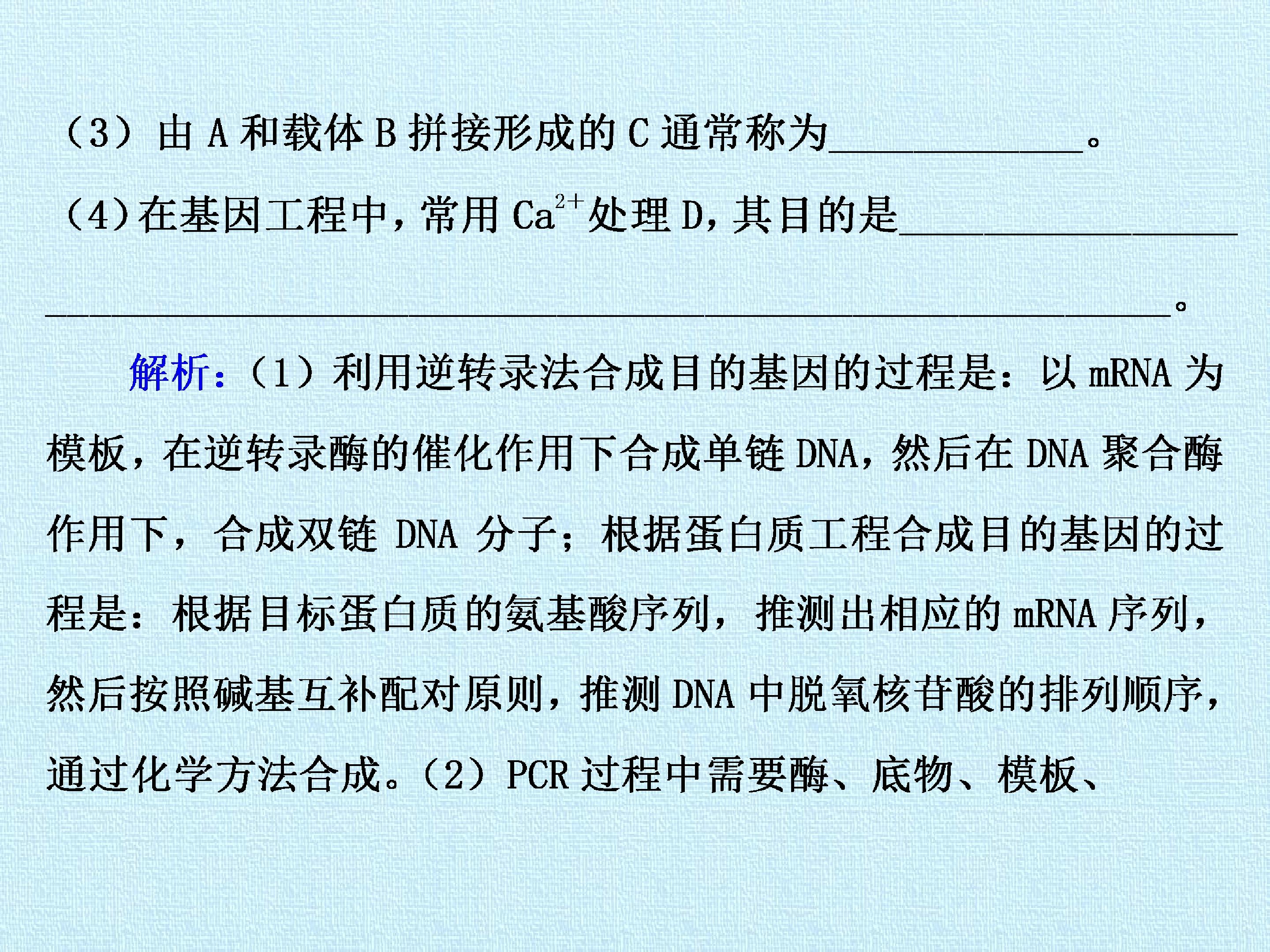 113.jpg