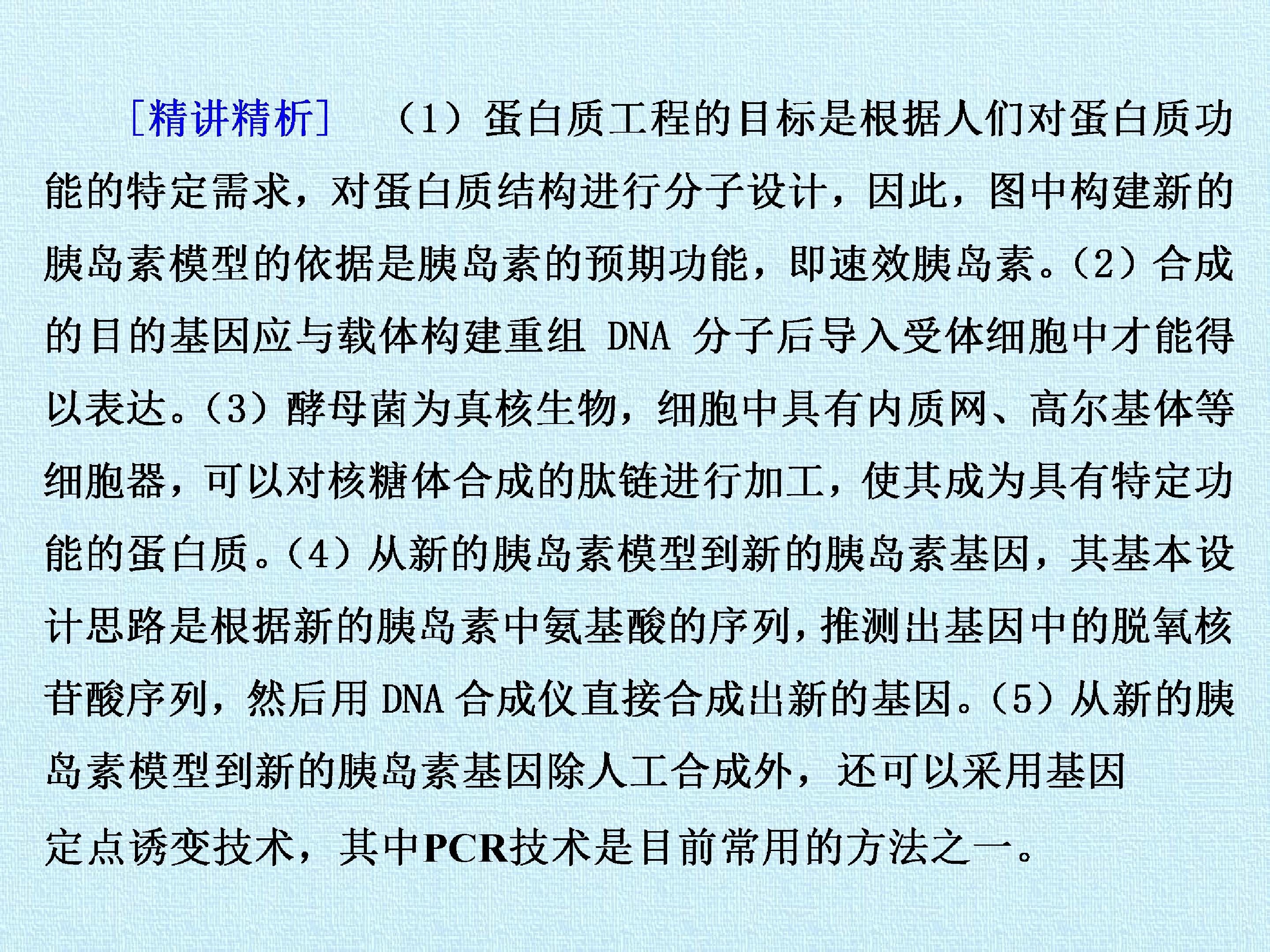 146.jpg