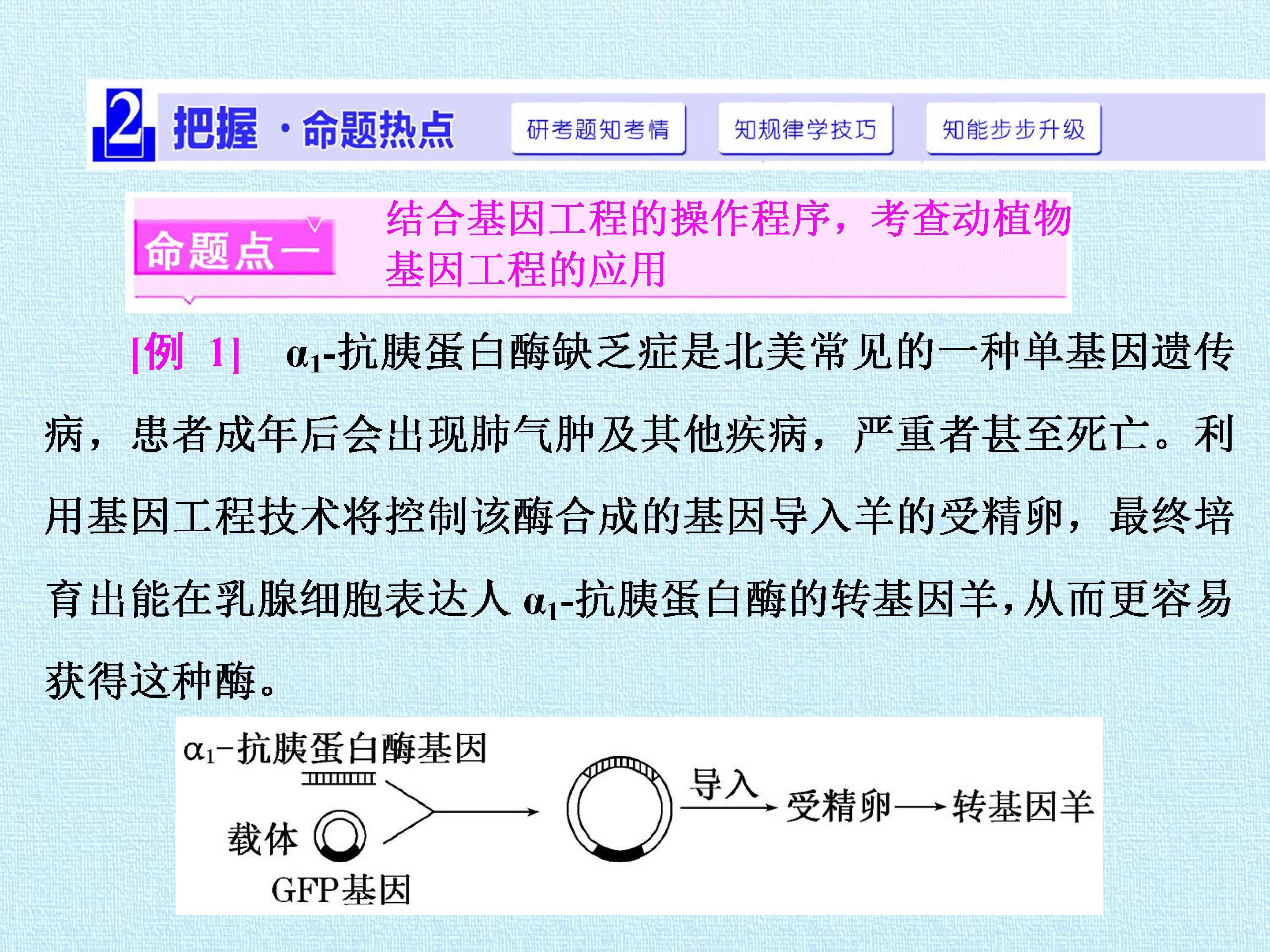 91.jpg