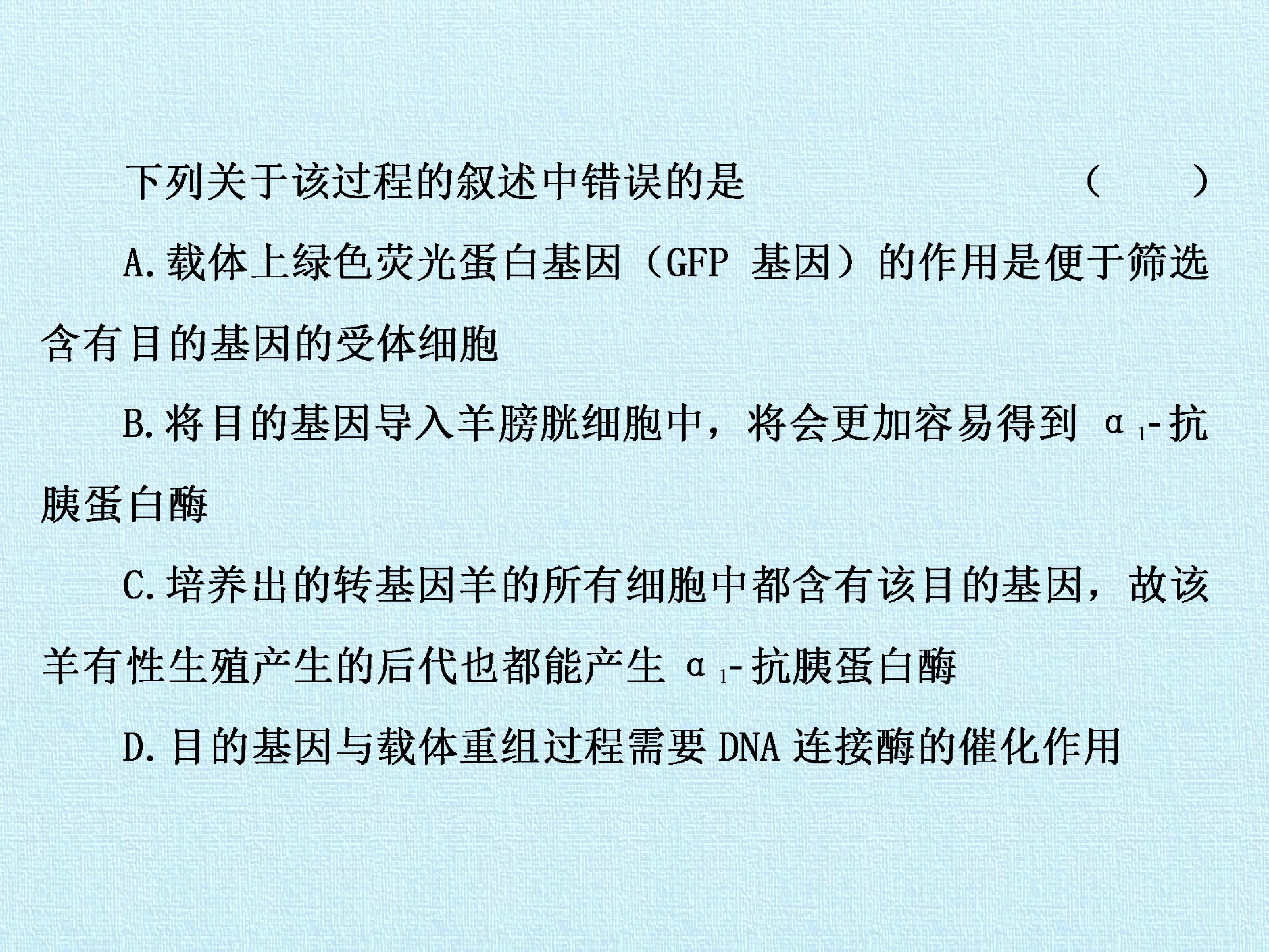 92.jpg