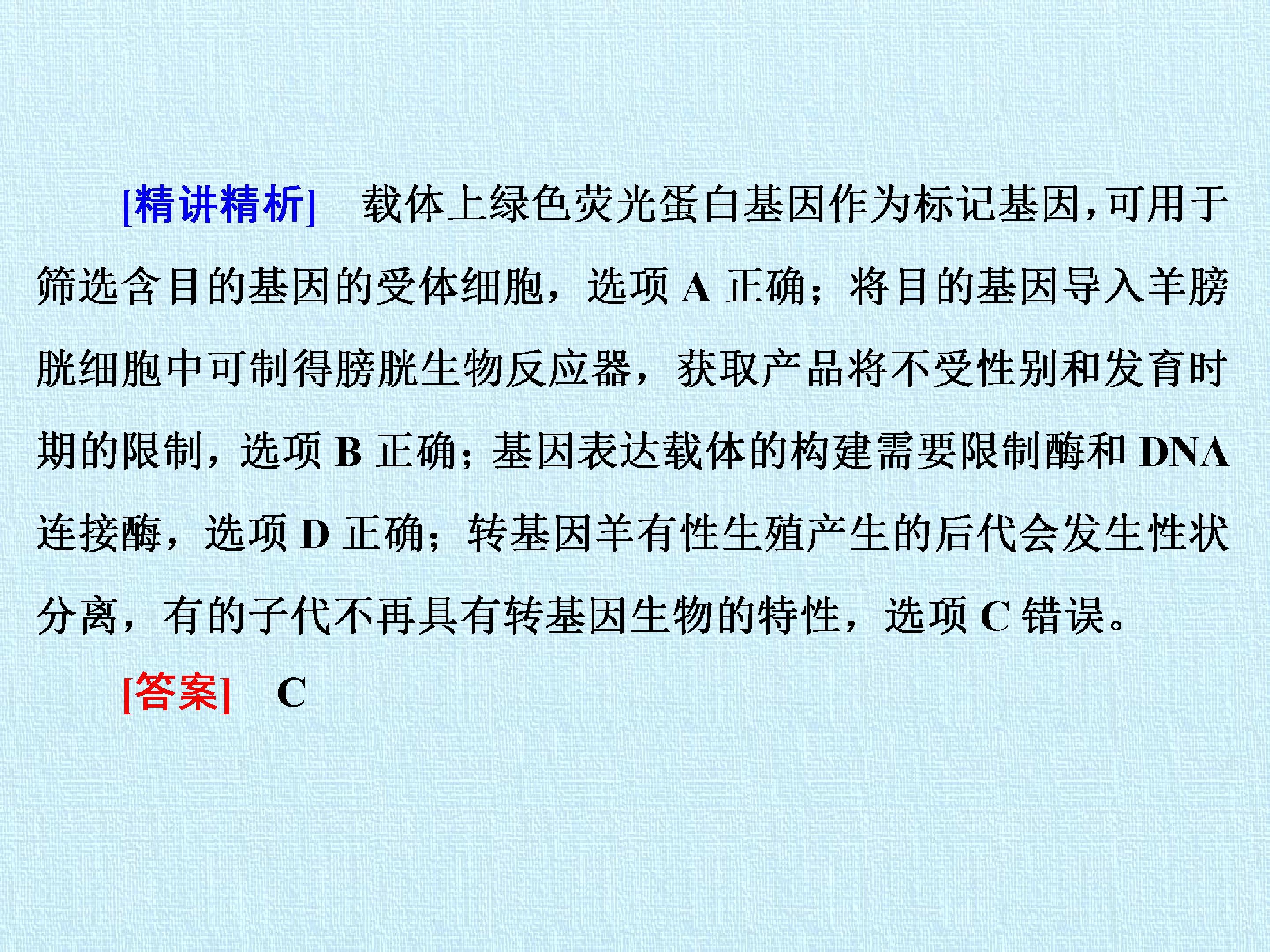 94.jpg