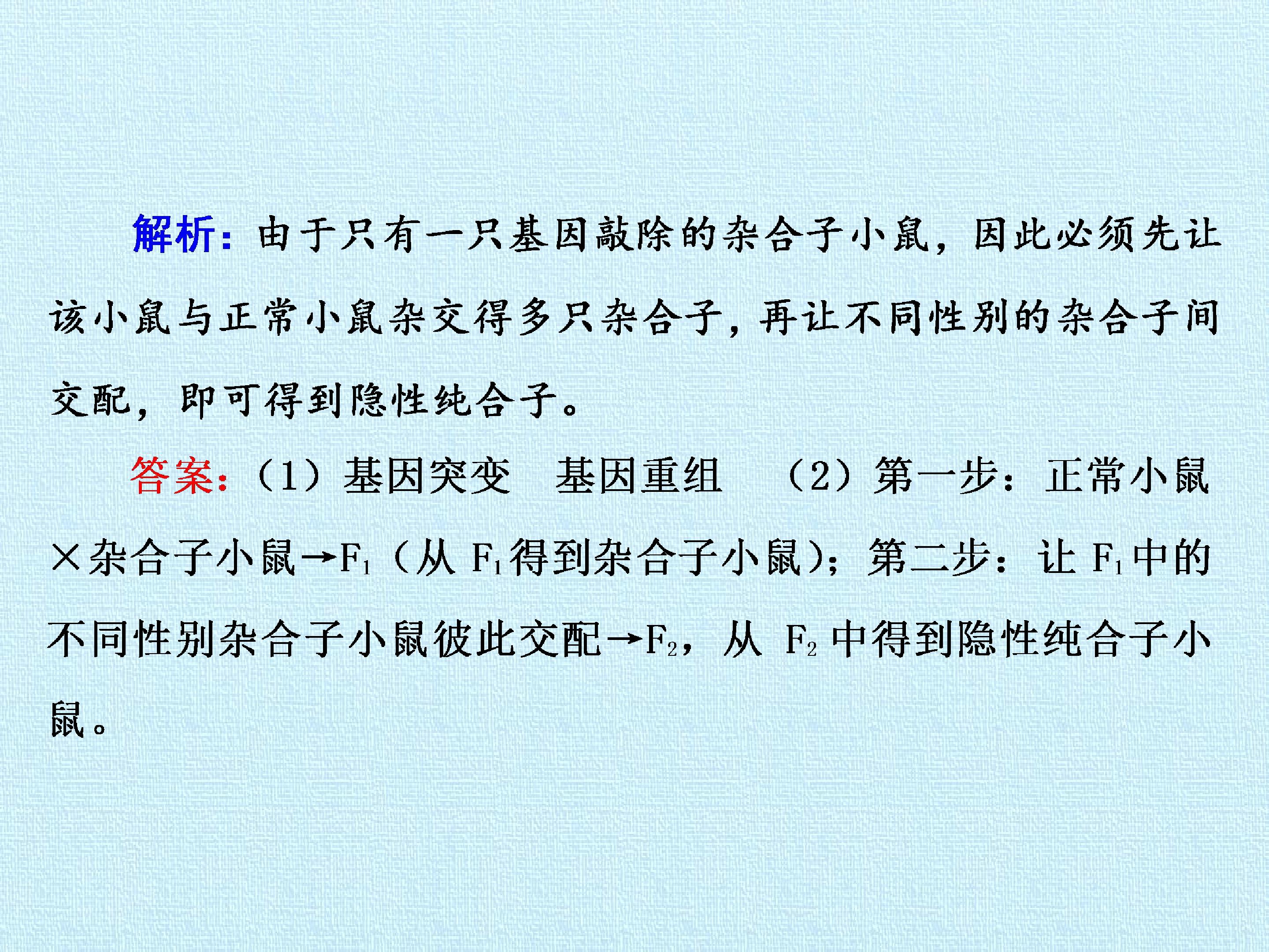 98.jpg