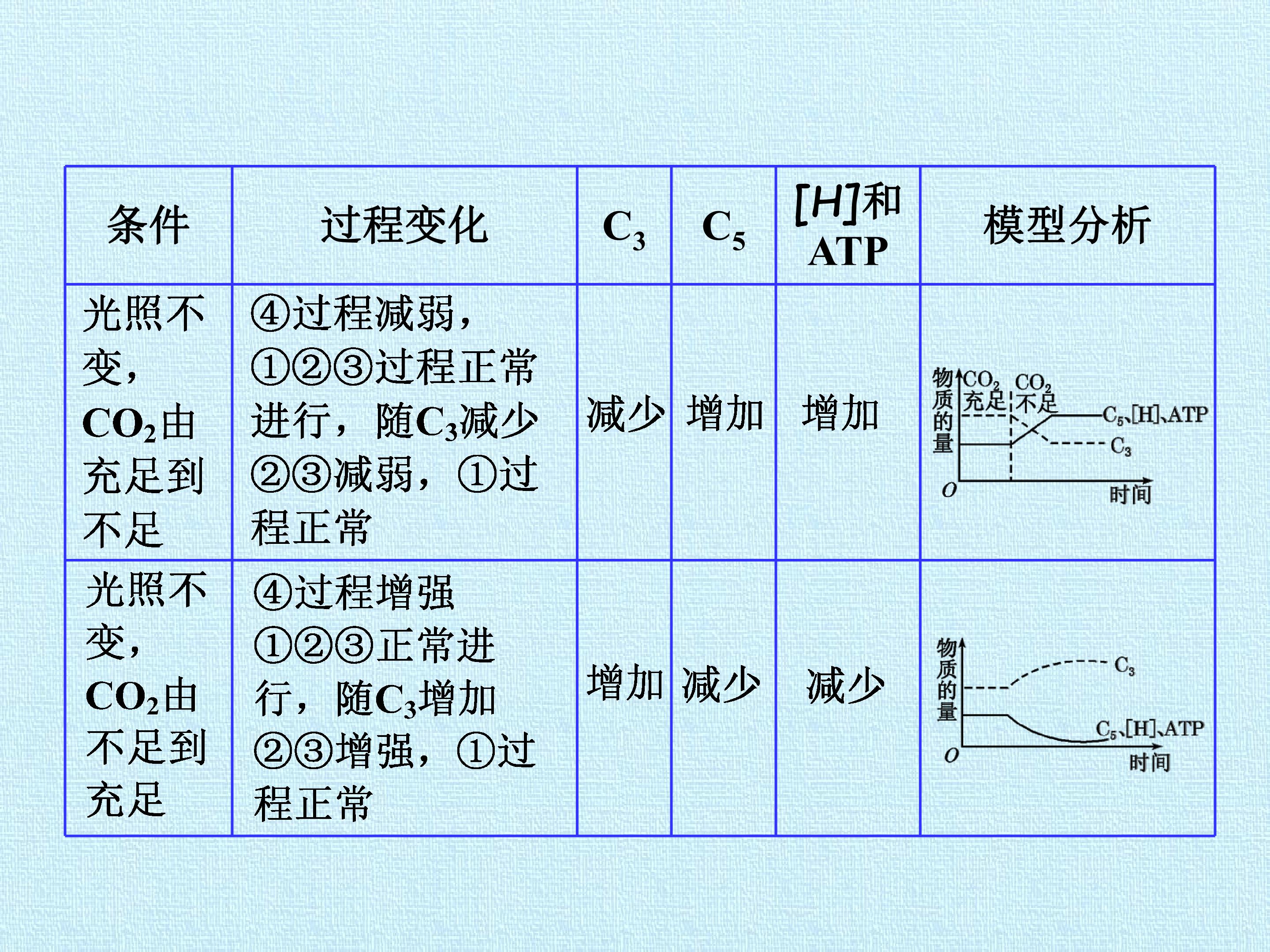 131.jpg