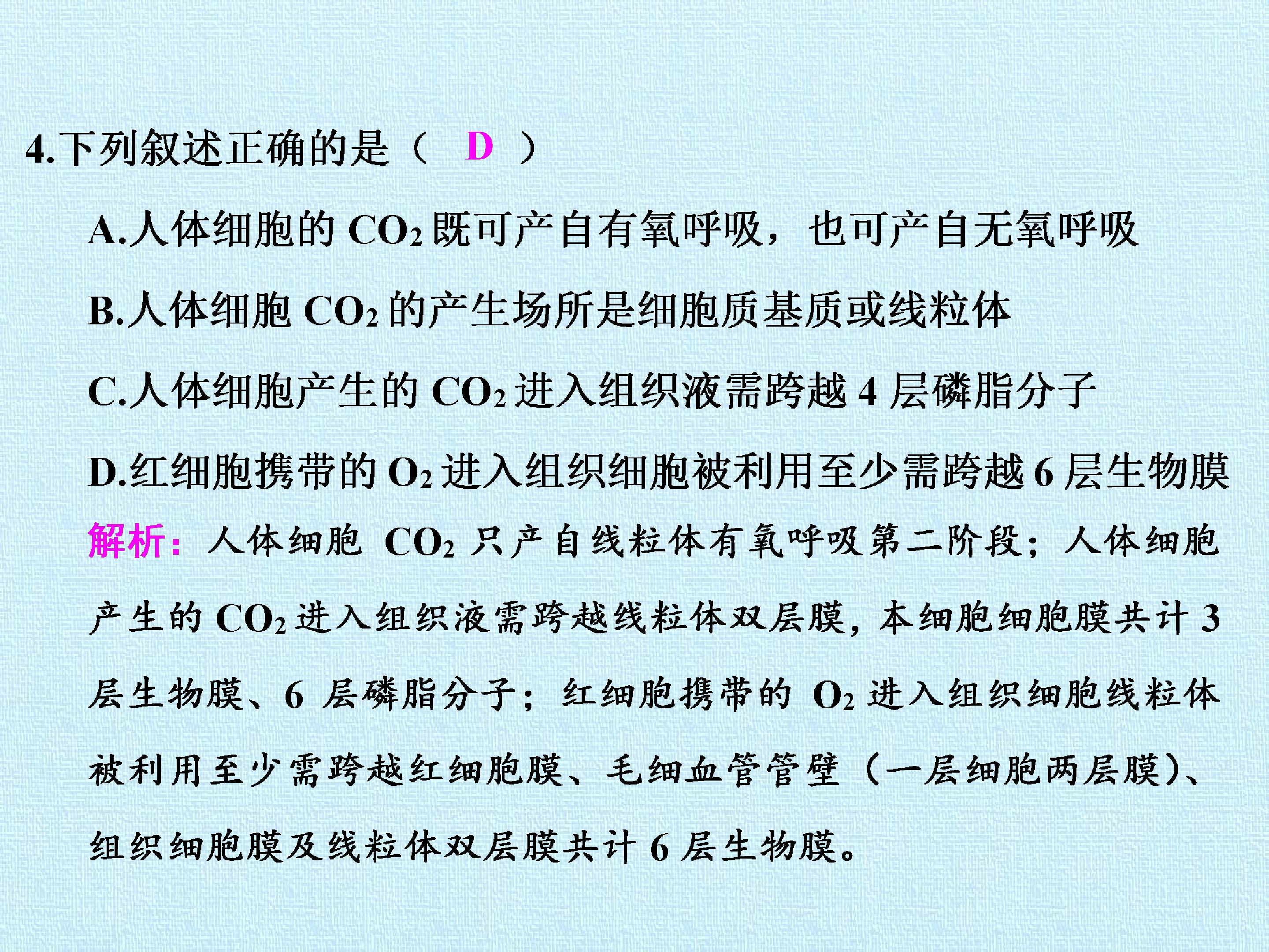 187.jpg