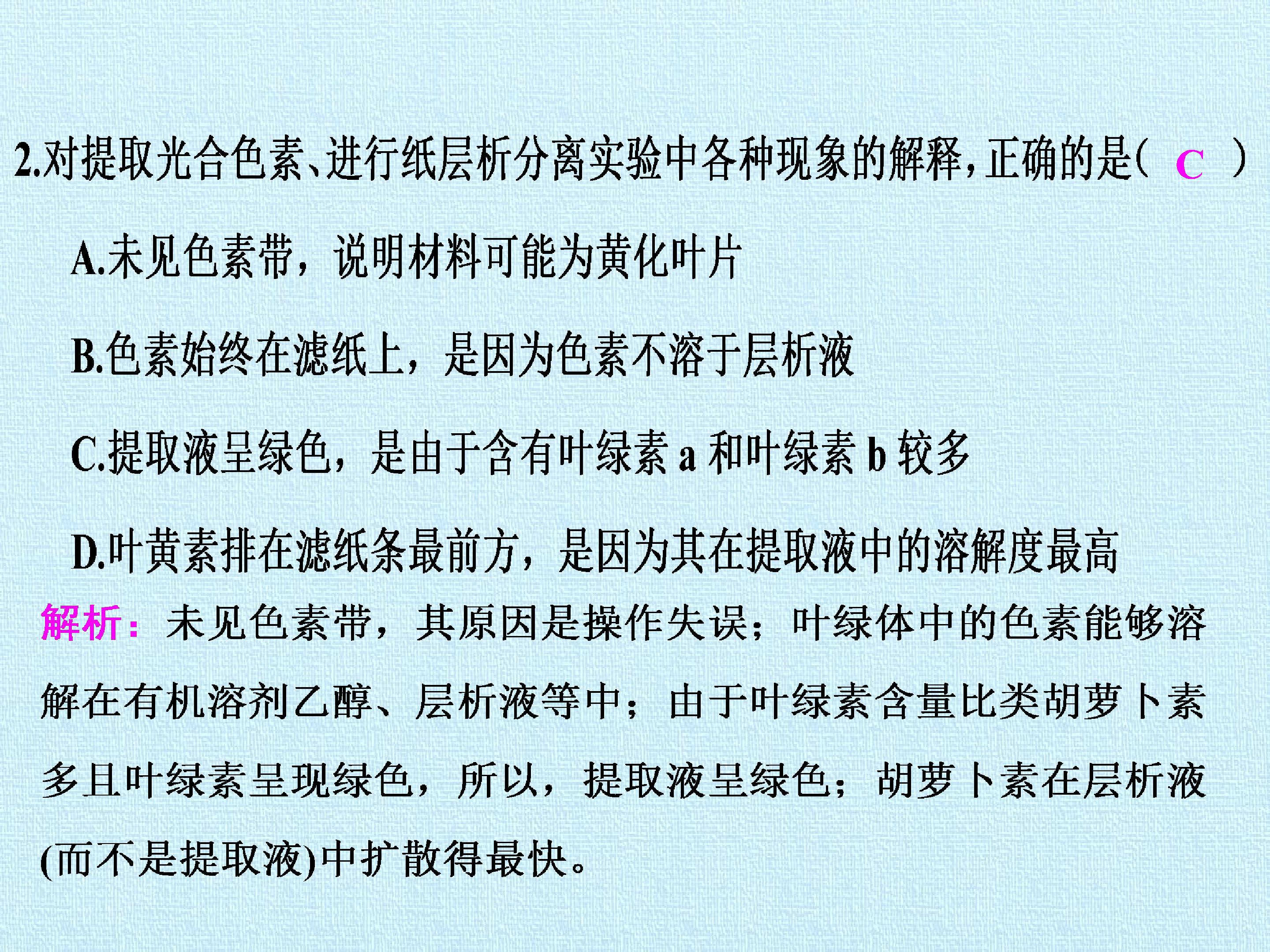 94.jpg