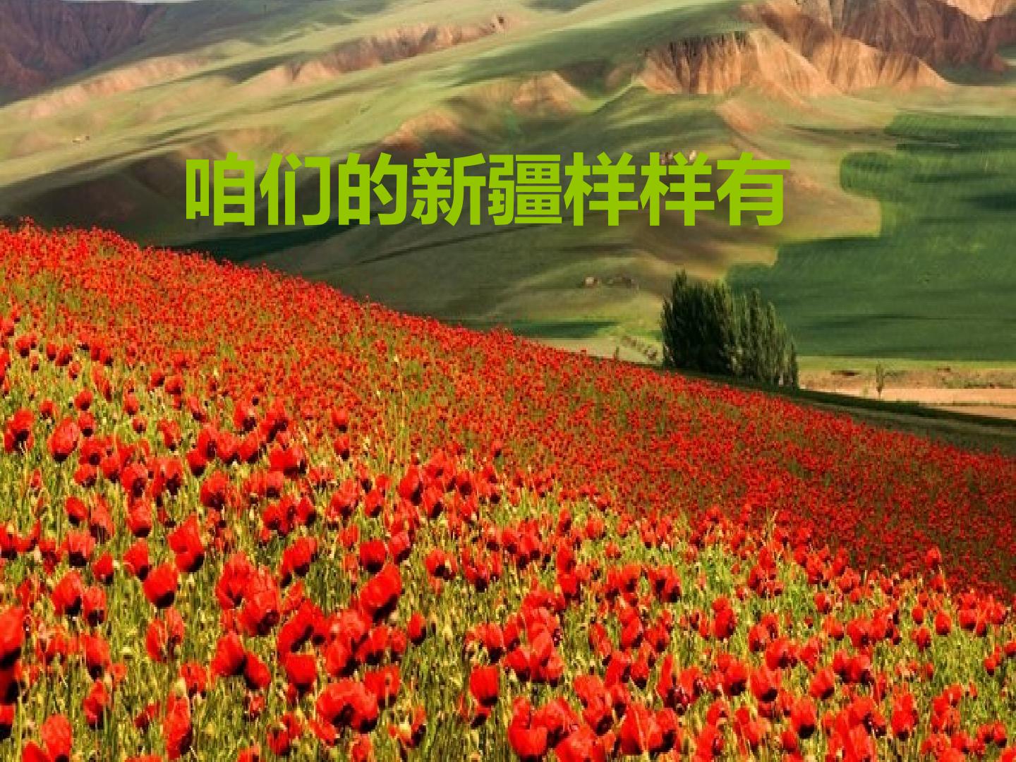 13.jpg