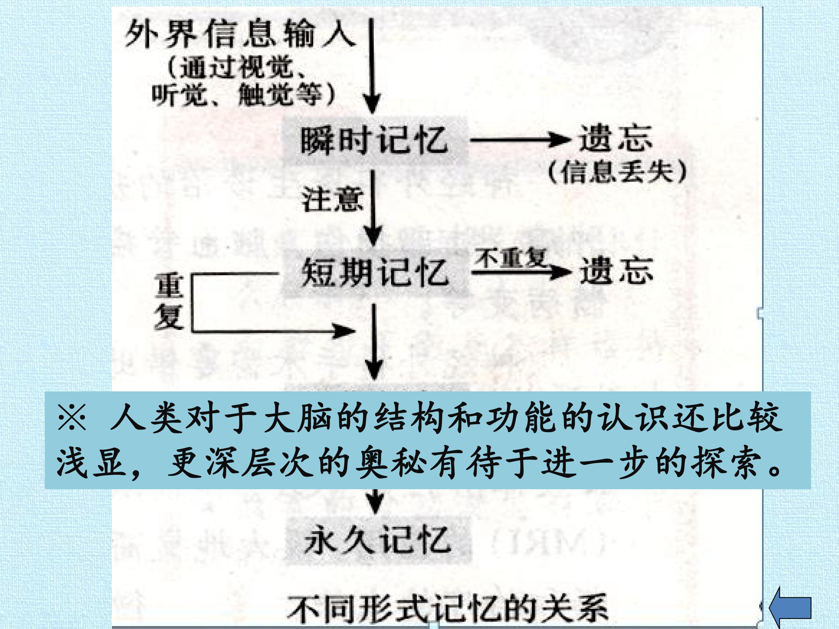 58.jpg