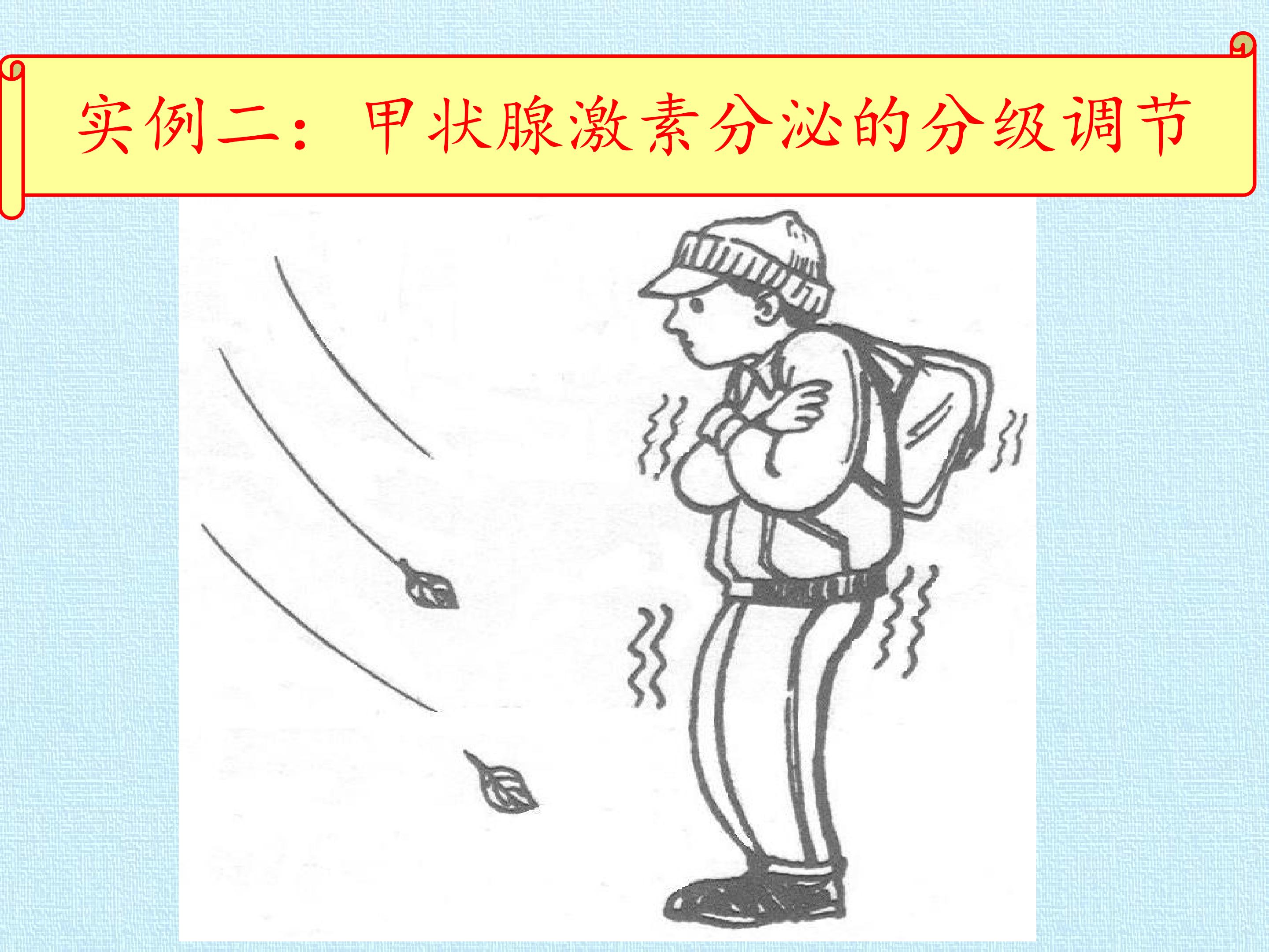 79.jpg