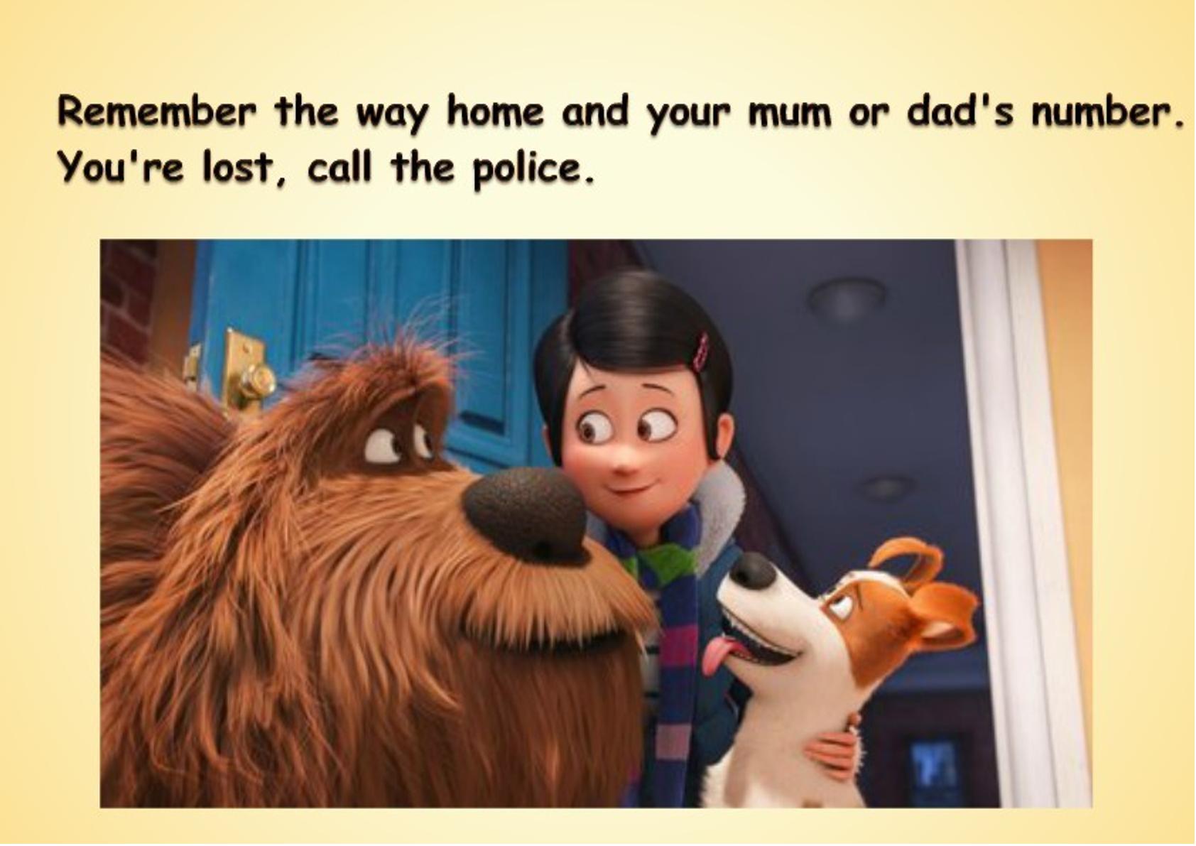 62.jpg