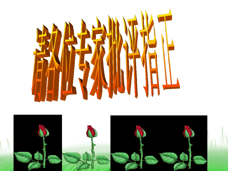 23.jpg
