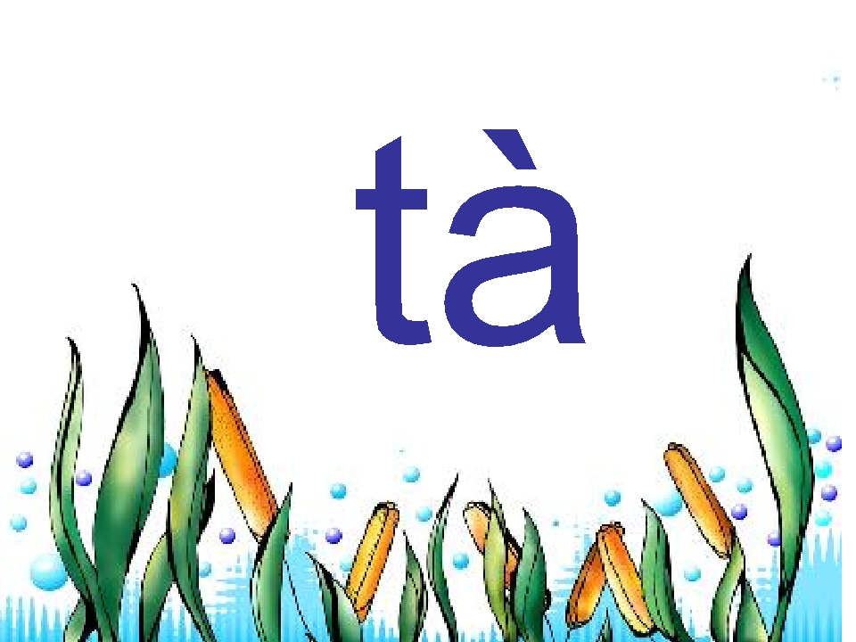 15_1562950398800.jpg