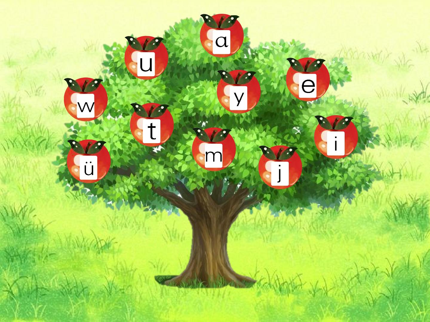 1.jpg