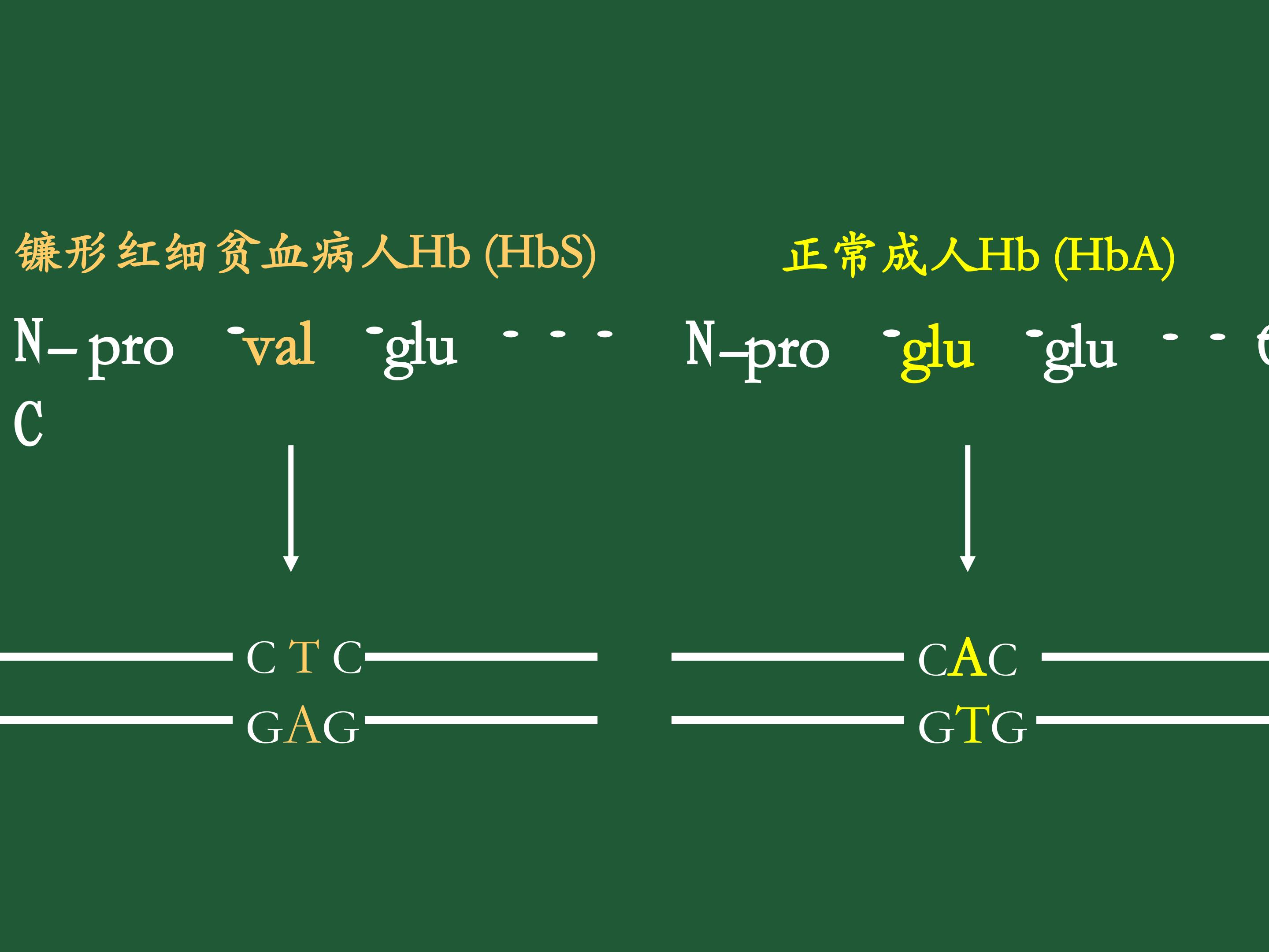 58.jpg