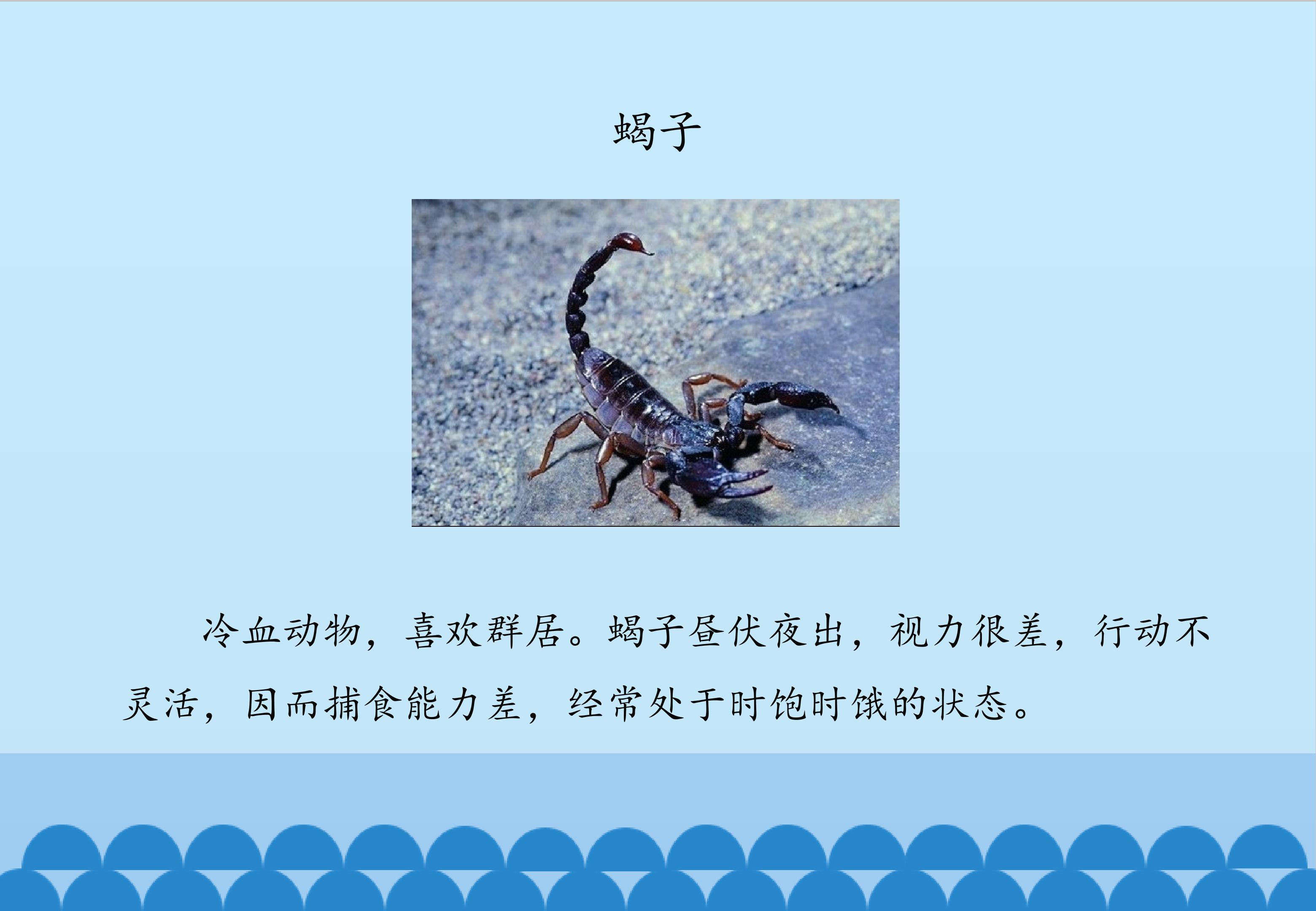 17.jpg