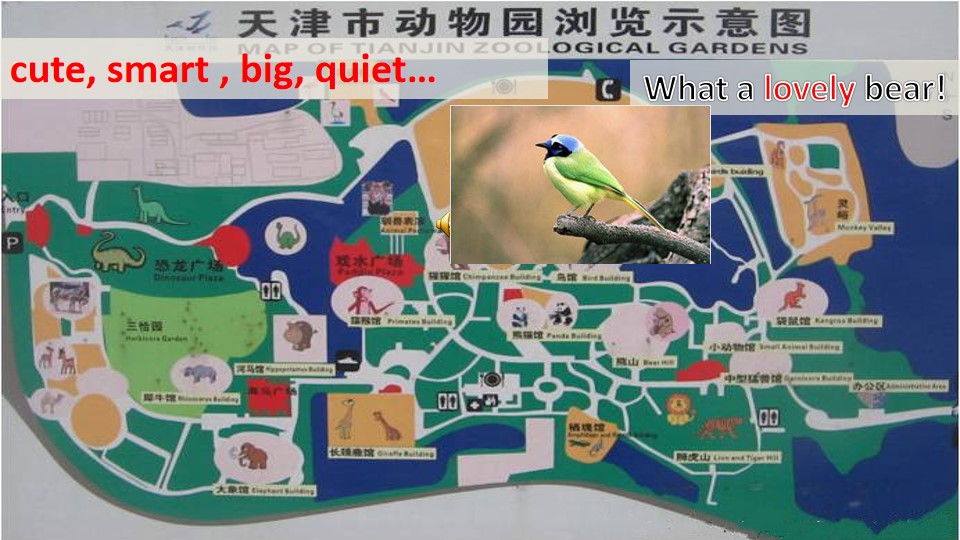 18.jpg