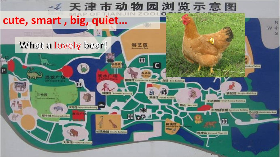 27.jpg