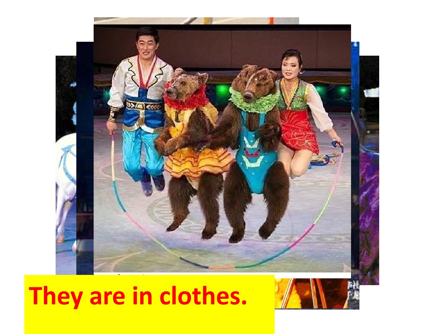 32.jpg