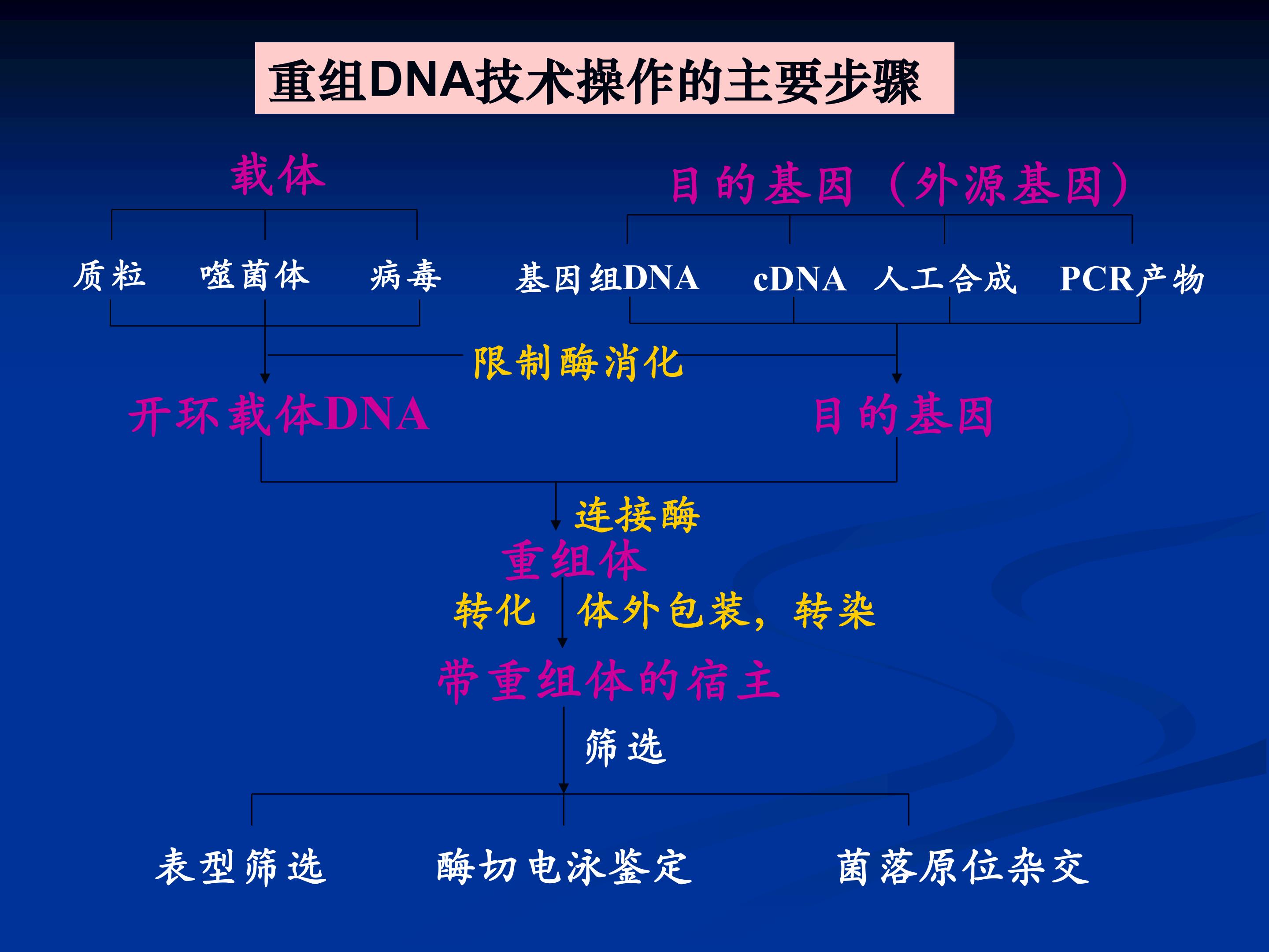 94.jpg