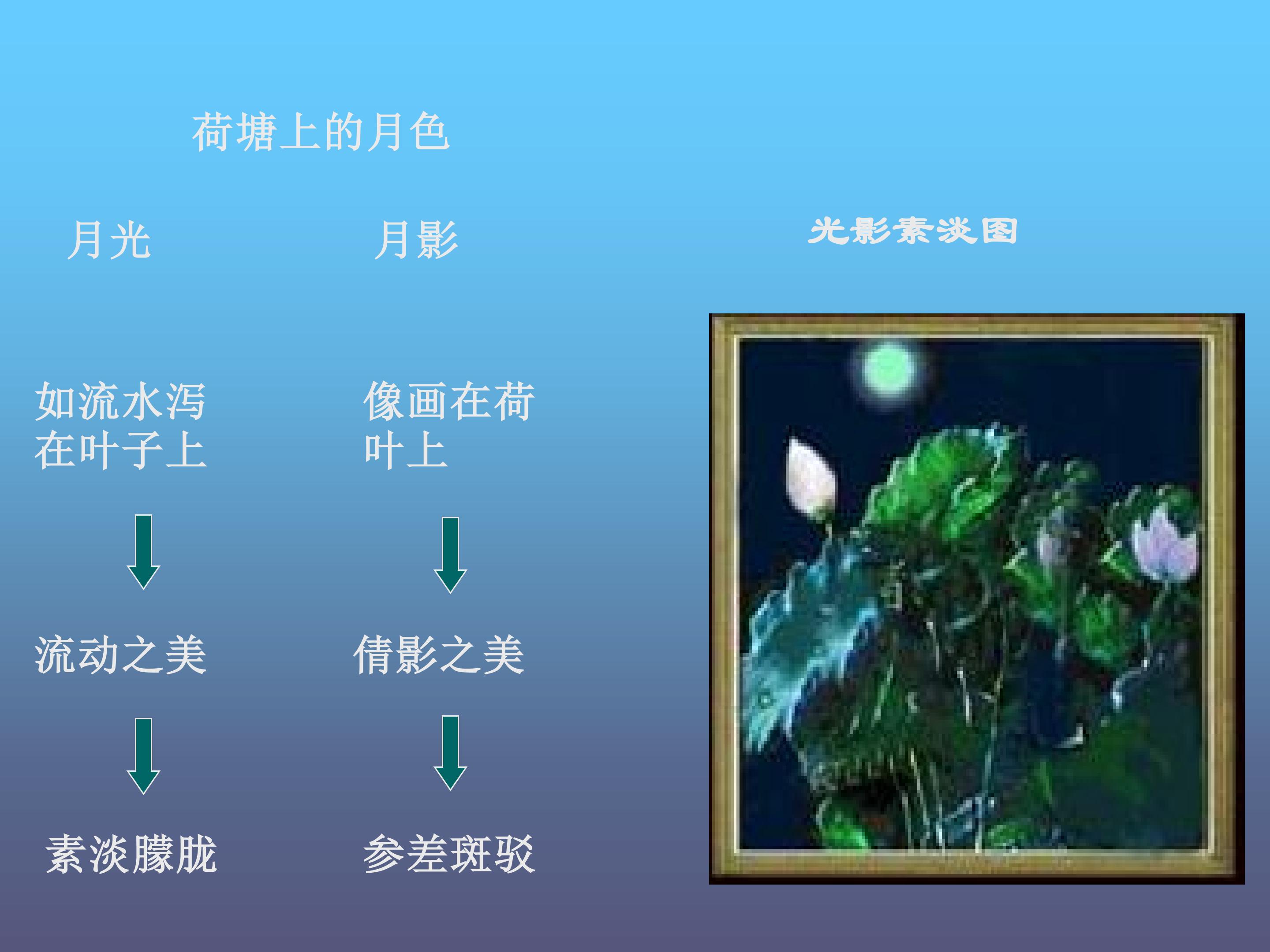 56.jpg