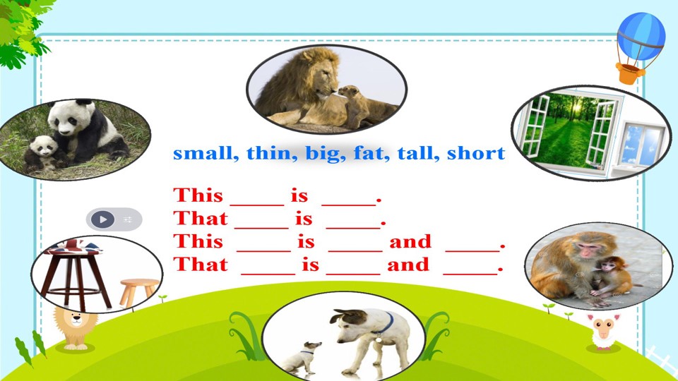25.jpg
