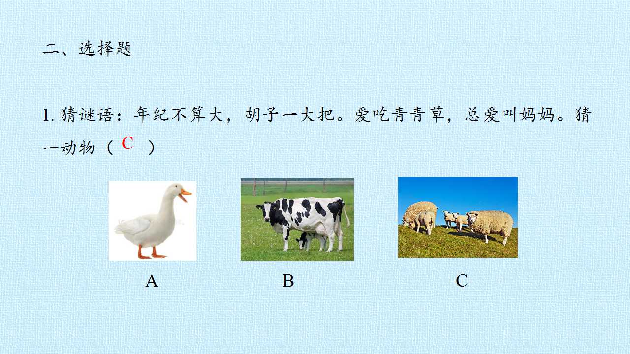15.jpg