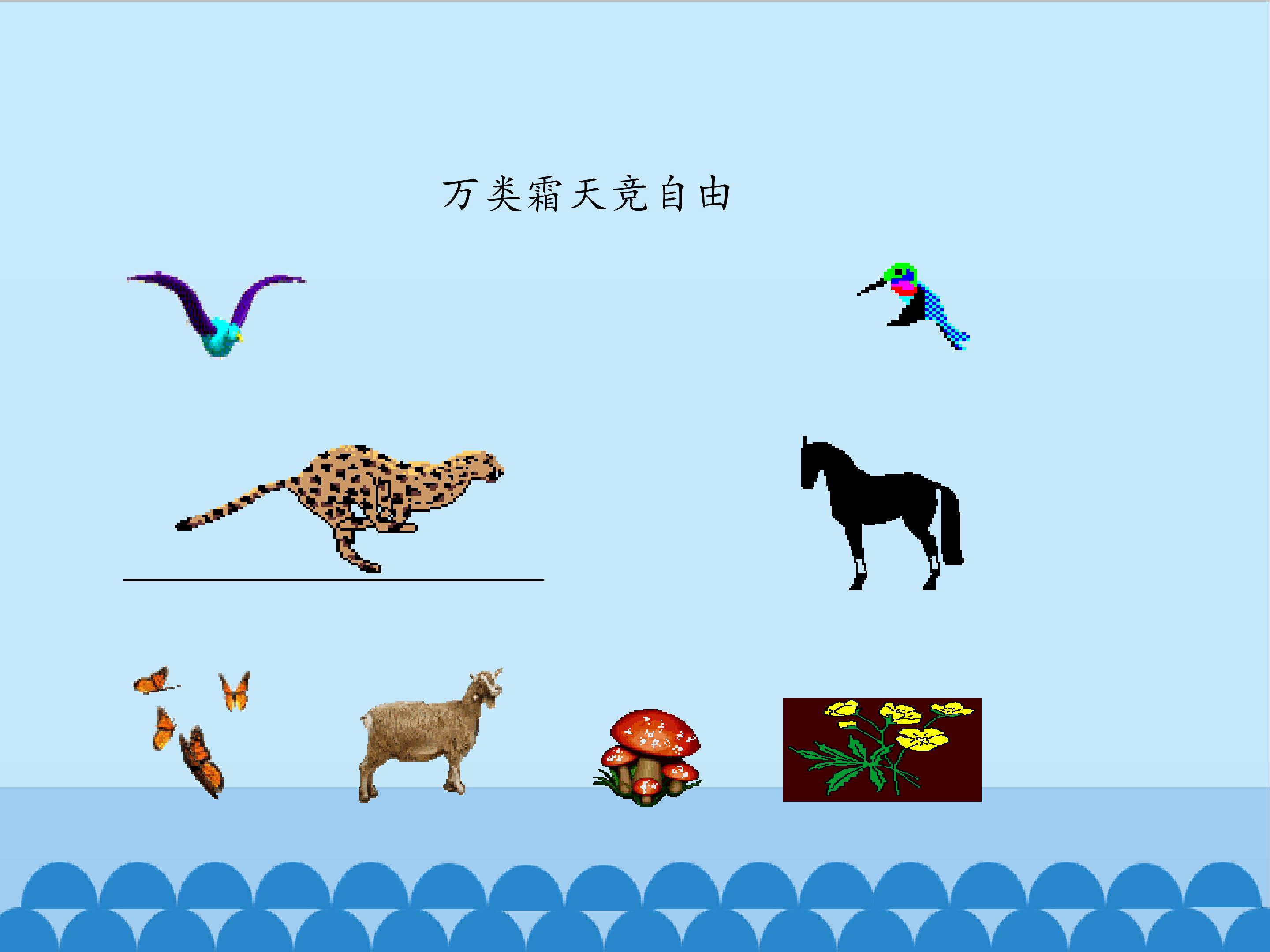16.jpg