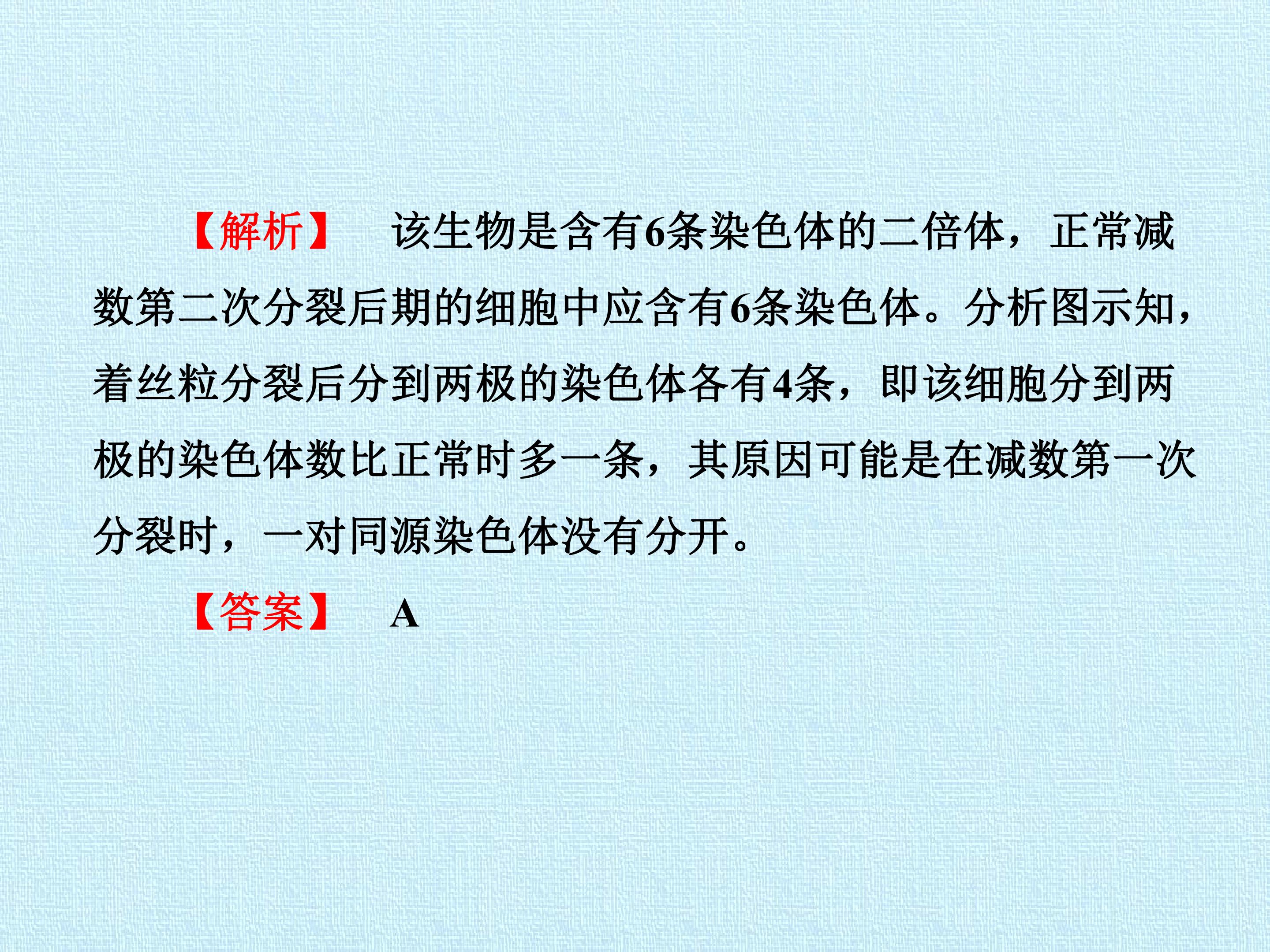 103.jpg