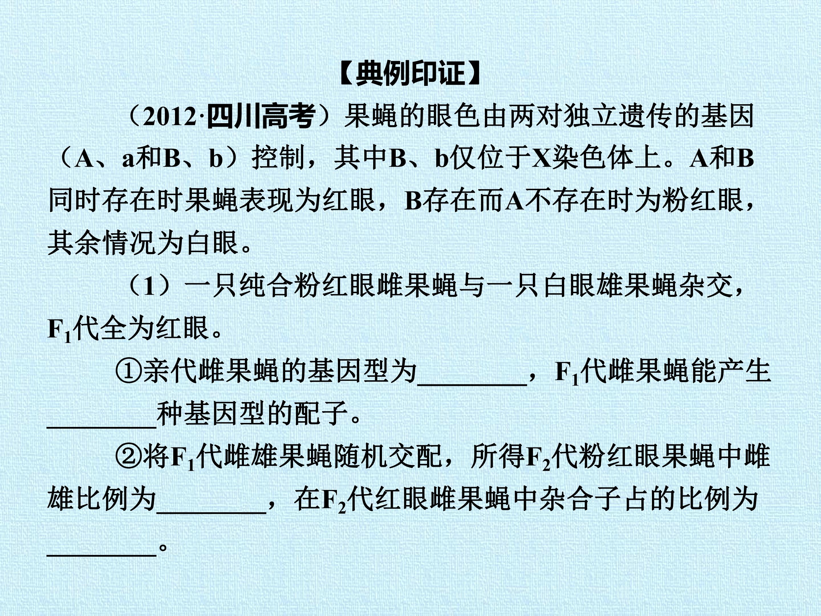 113.jpg