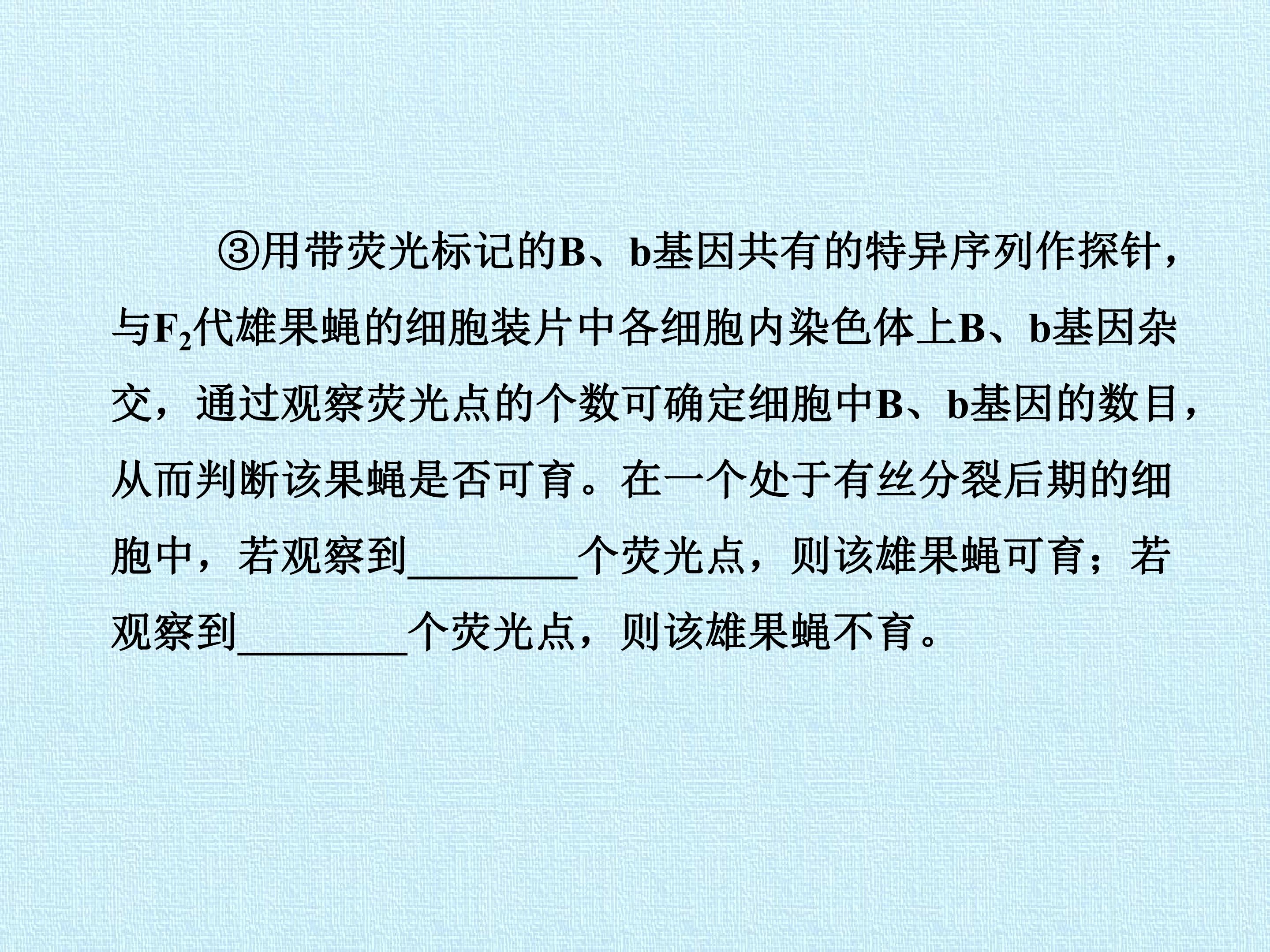 115.jpg