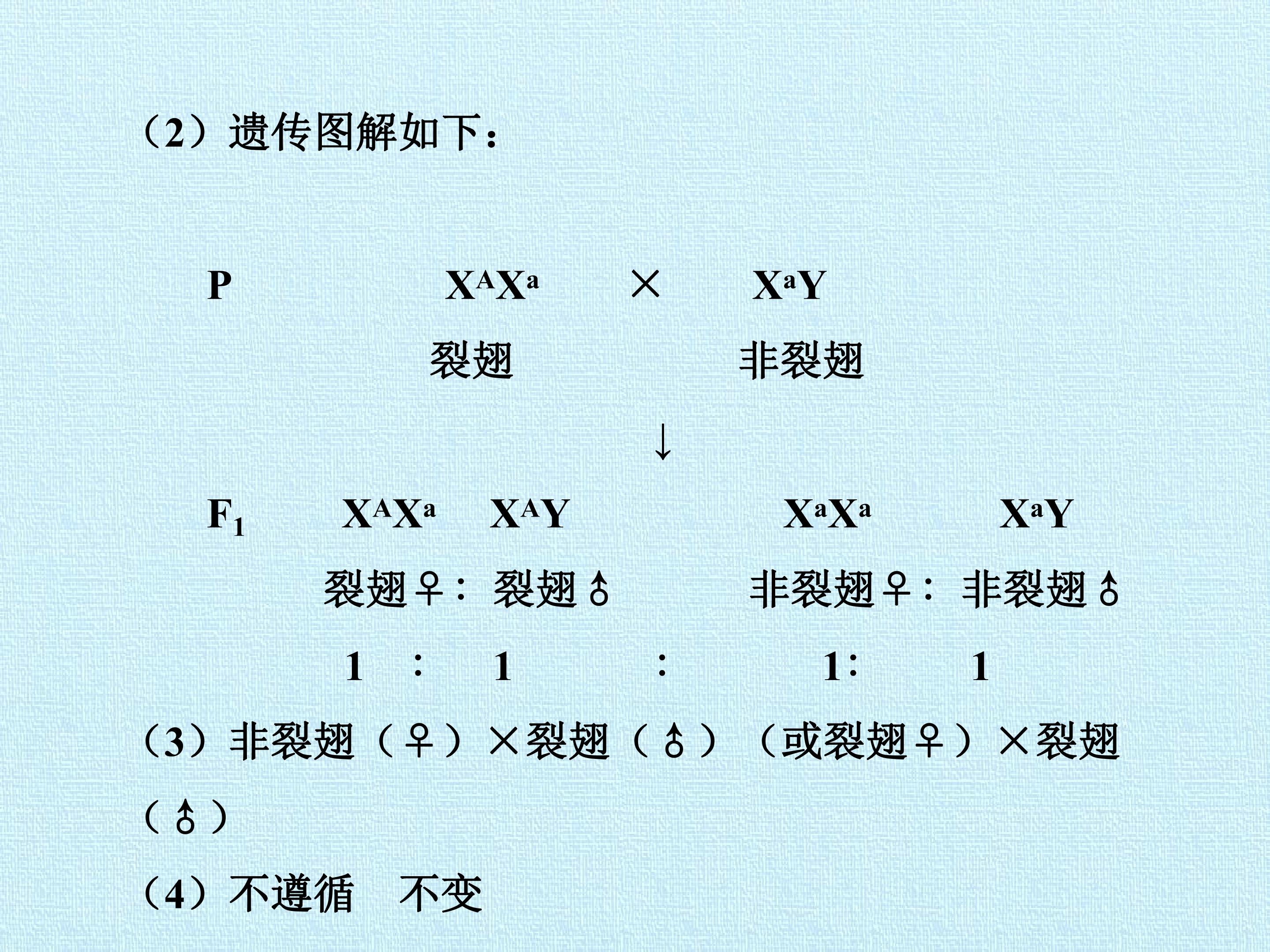 134.jpg