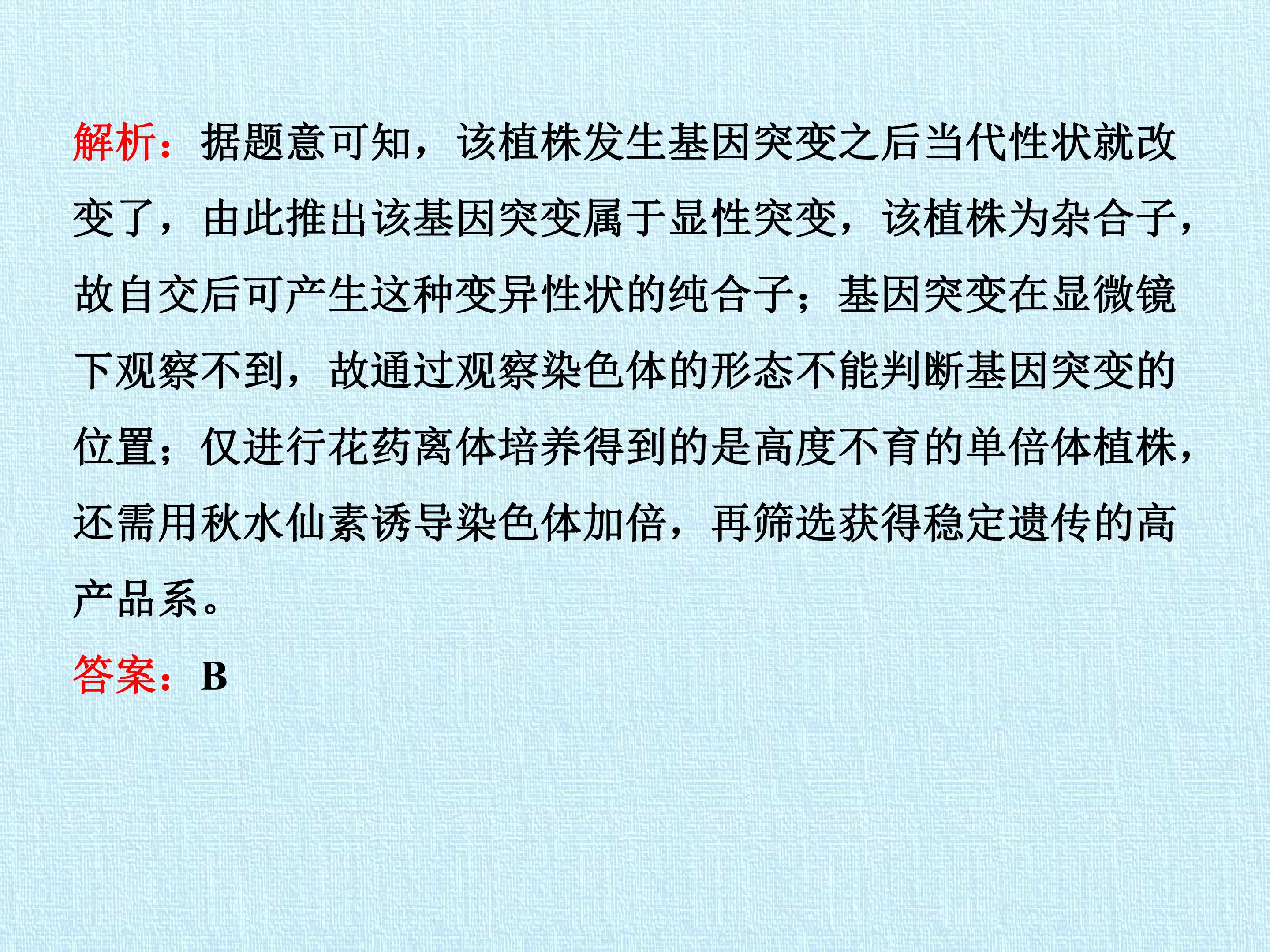 144.jpg