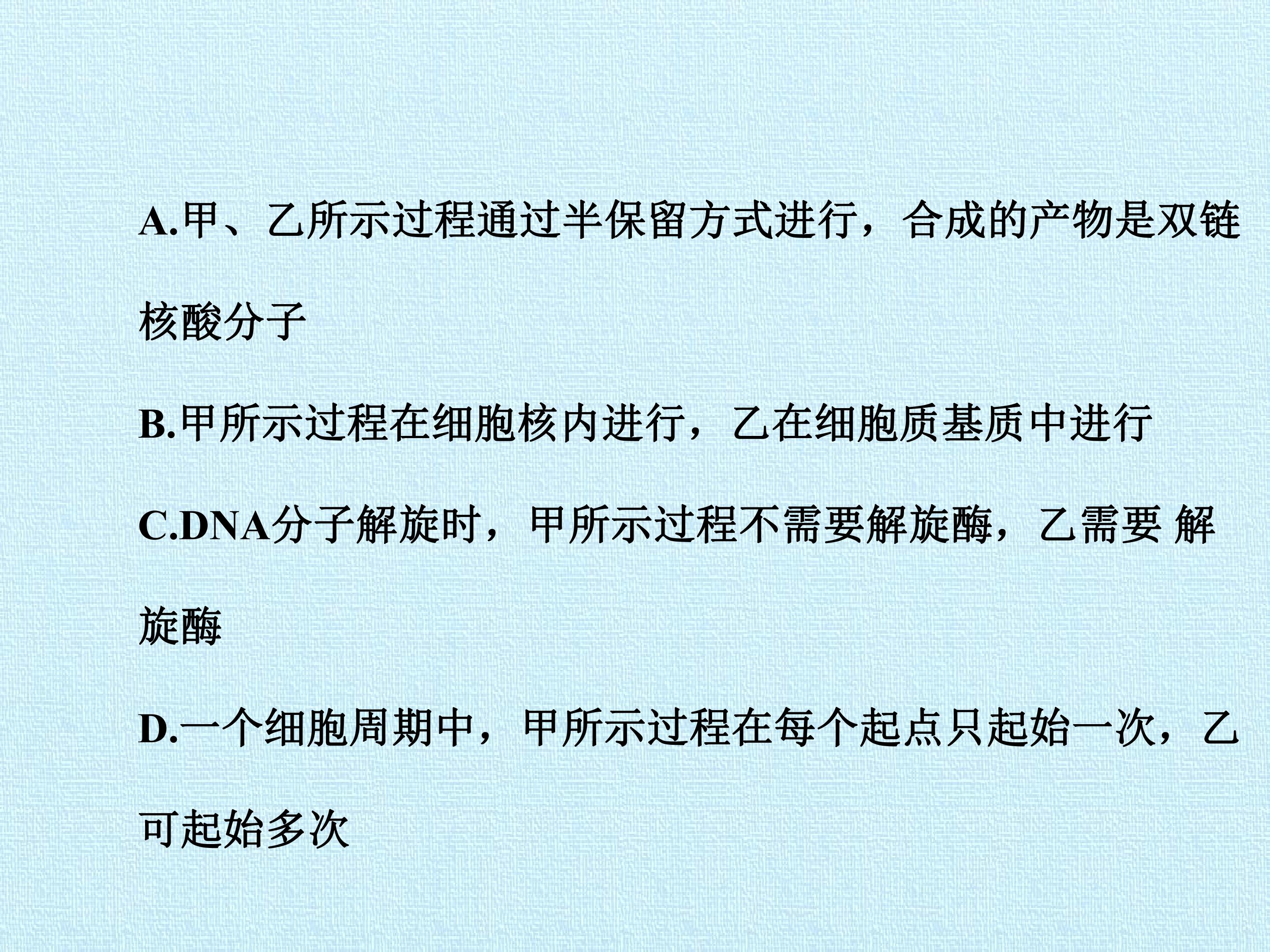 91.jpg