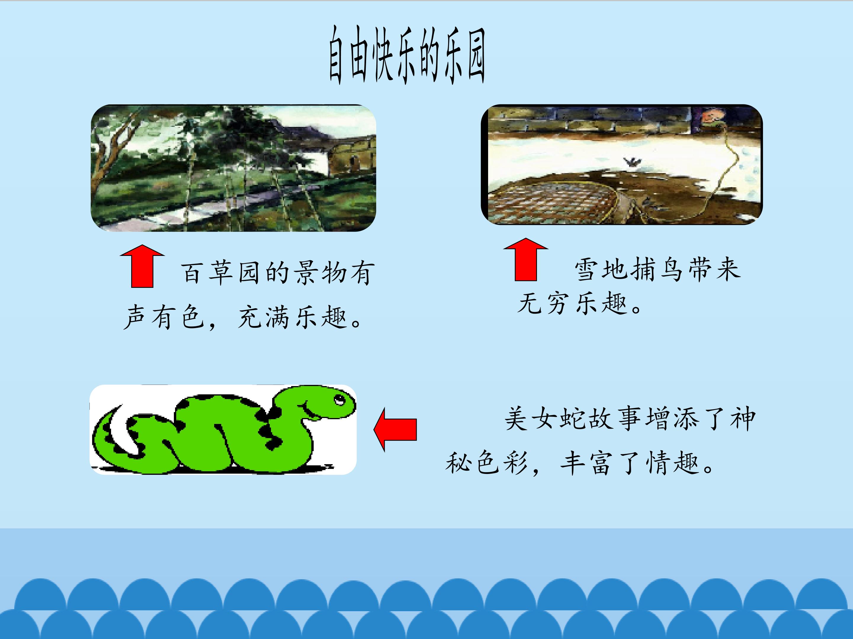 15.jpg