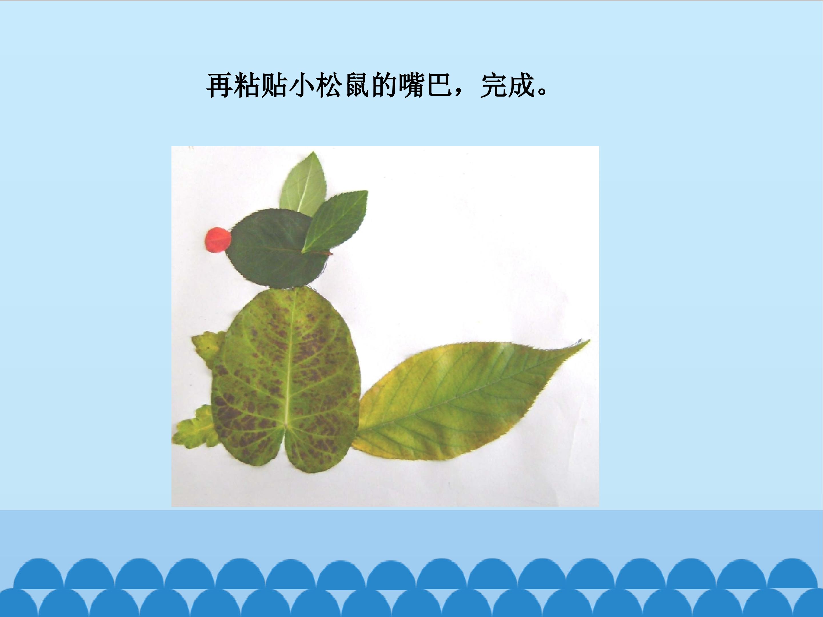 15.jpg