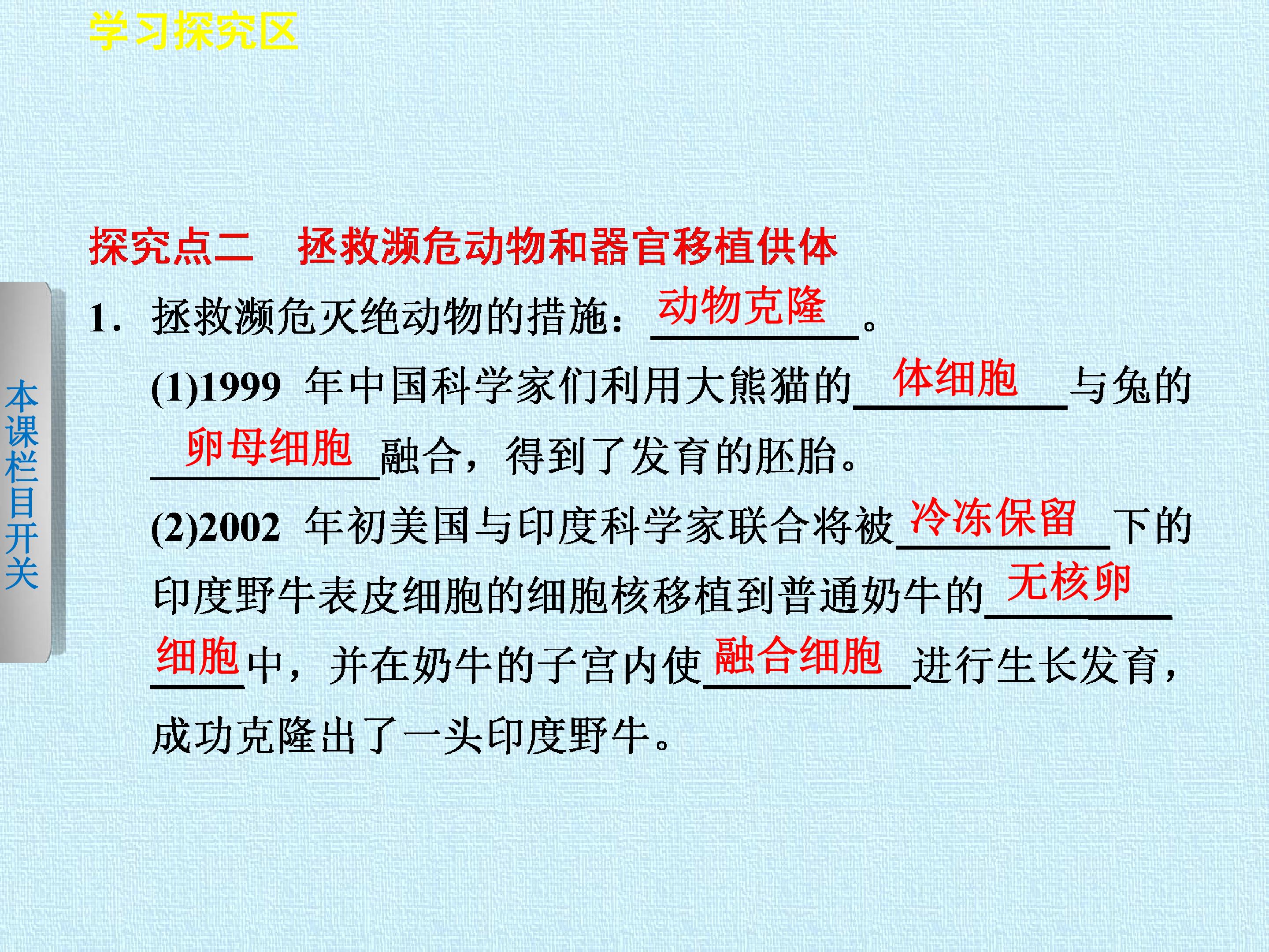 107.jpg