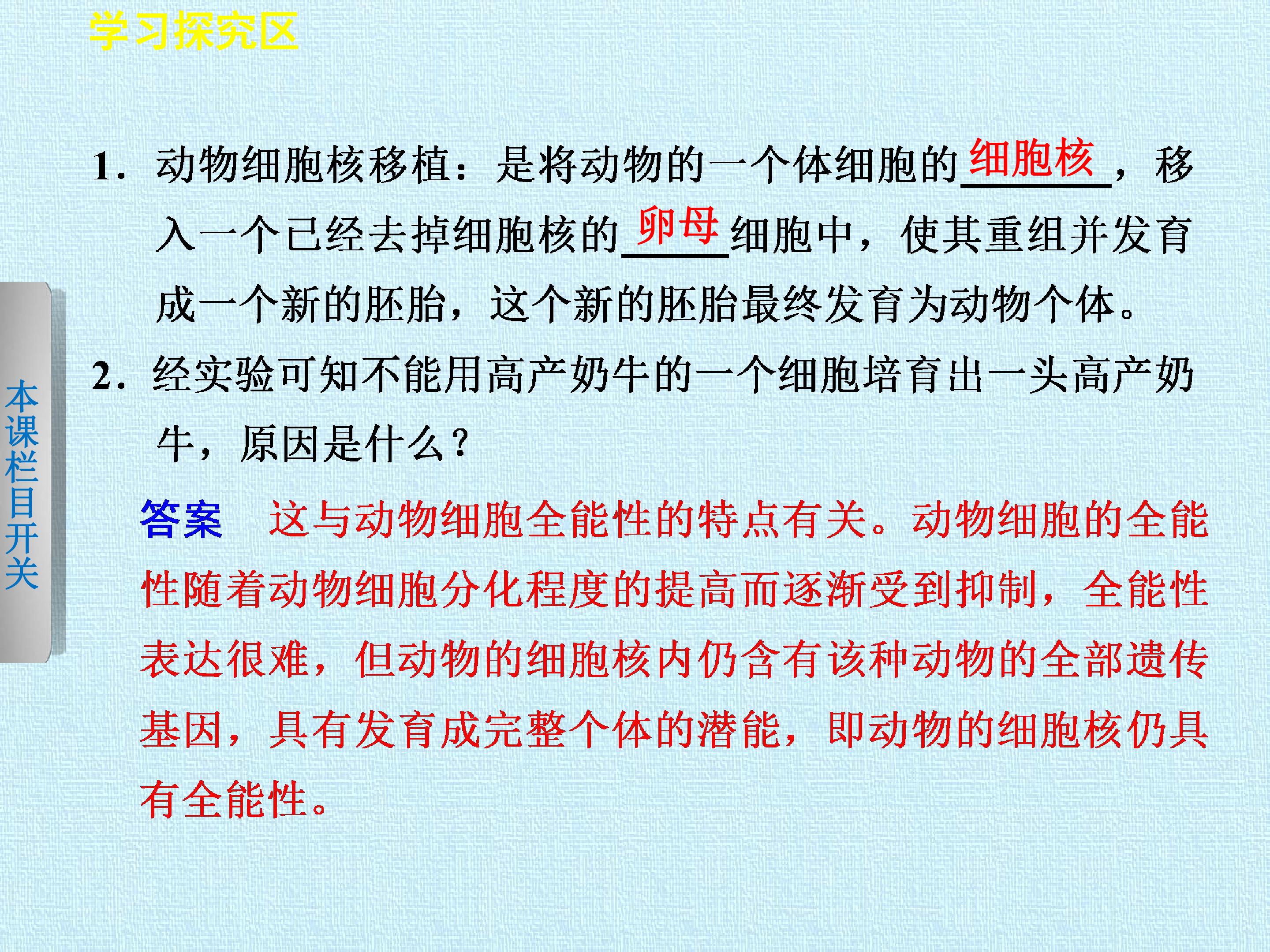 85.jpg
