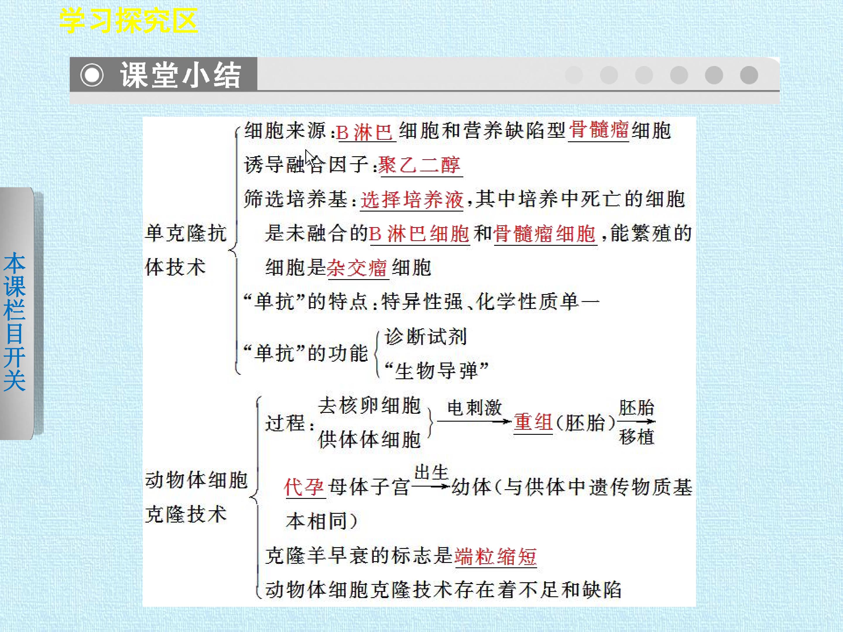 90.jpg
