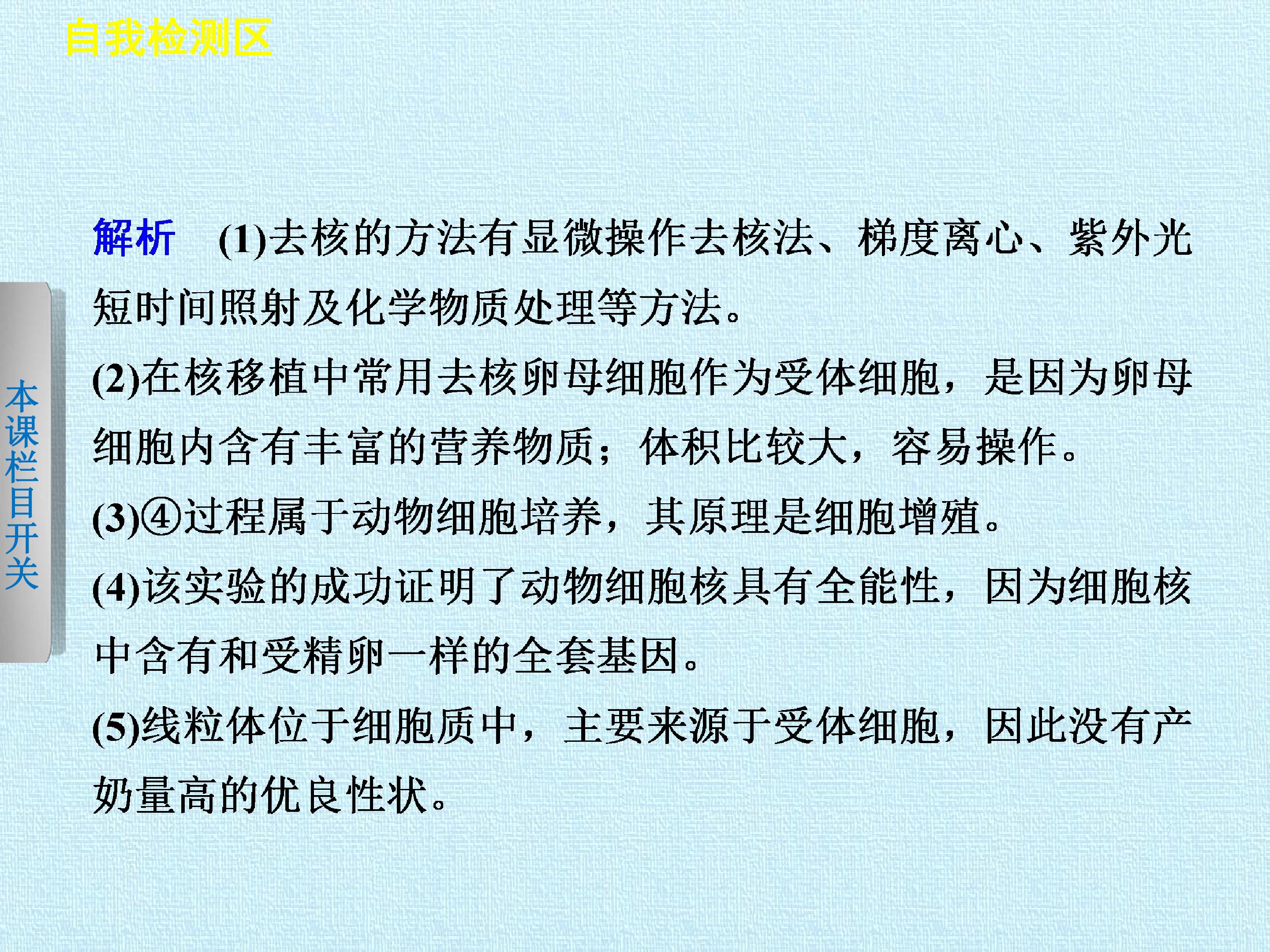 97.jpg